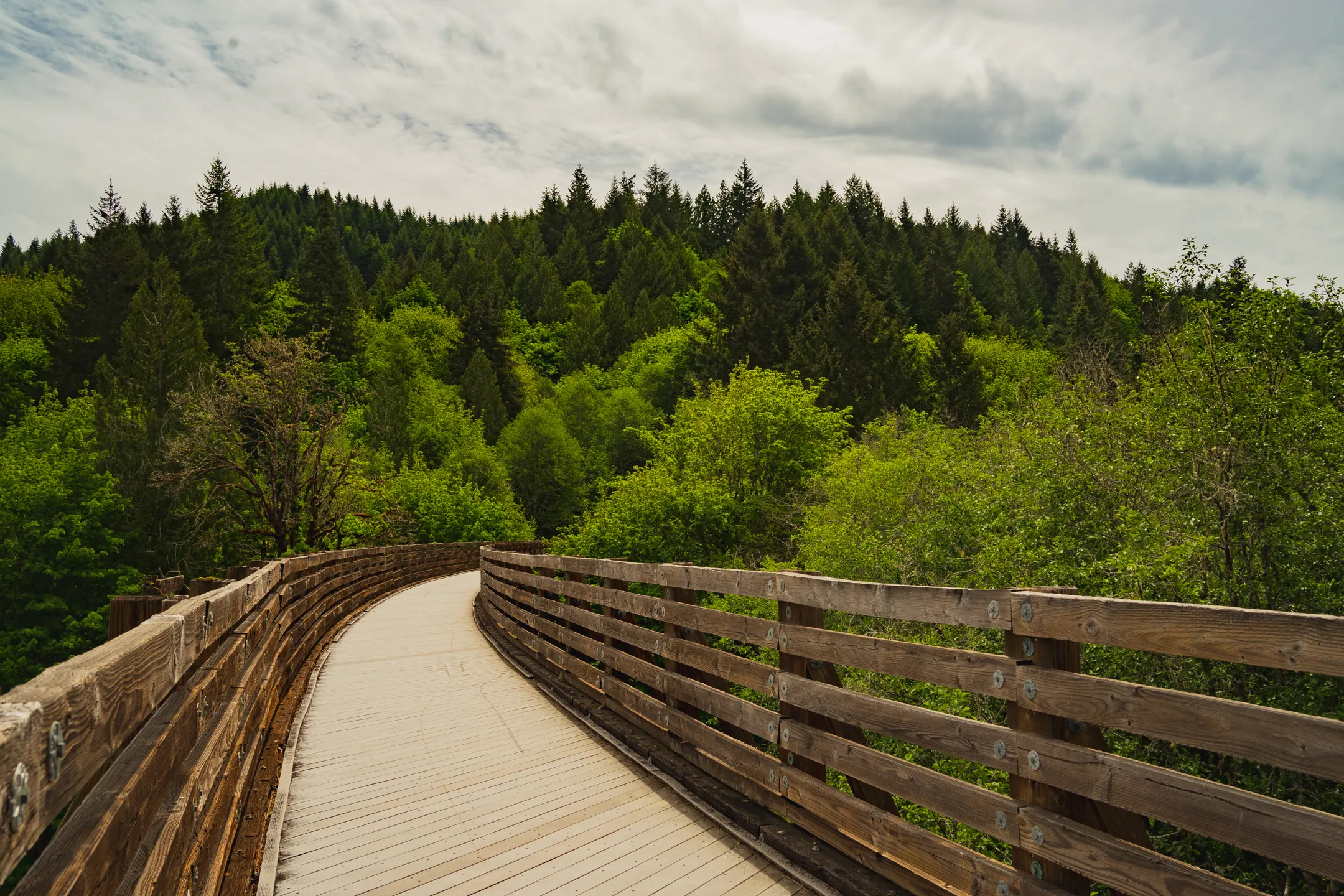 Banks Vernonia Trail: Banks Trailhead to Buxton Trestle