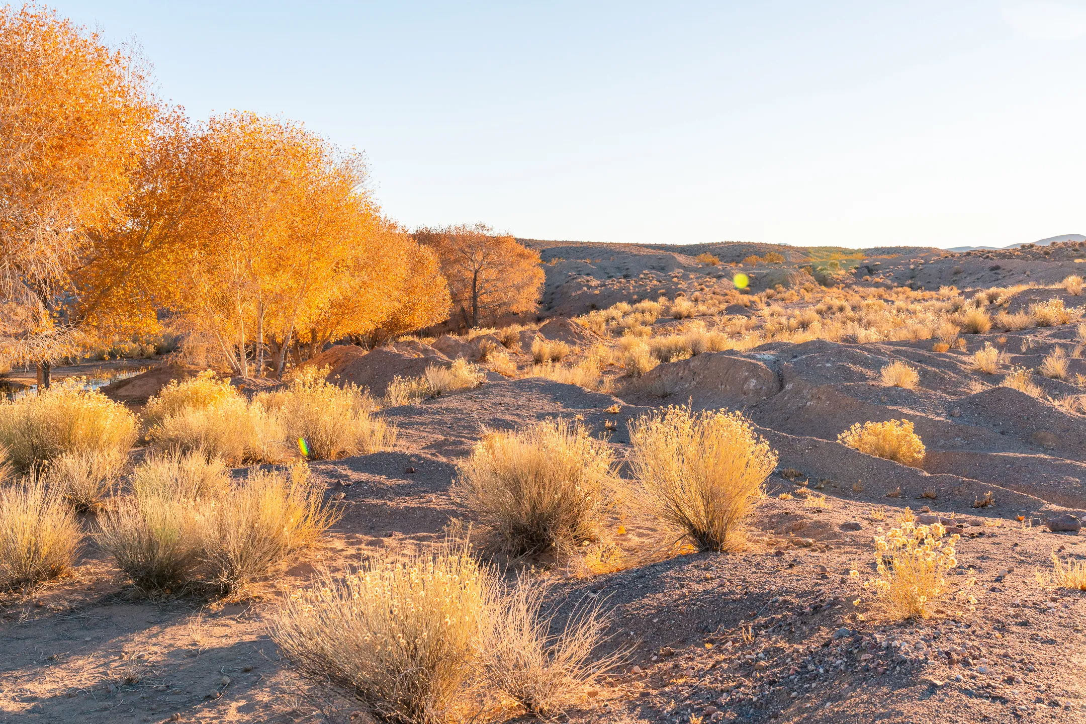 Spicer Ranch Trail System