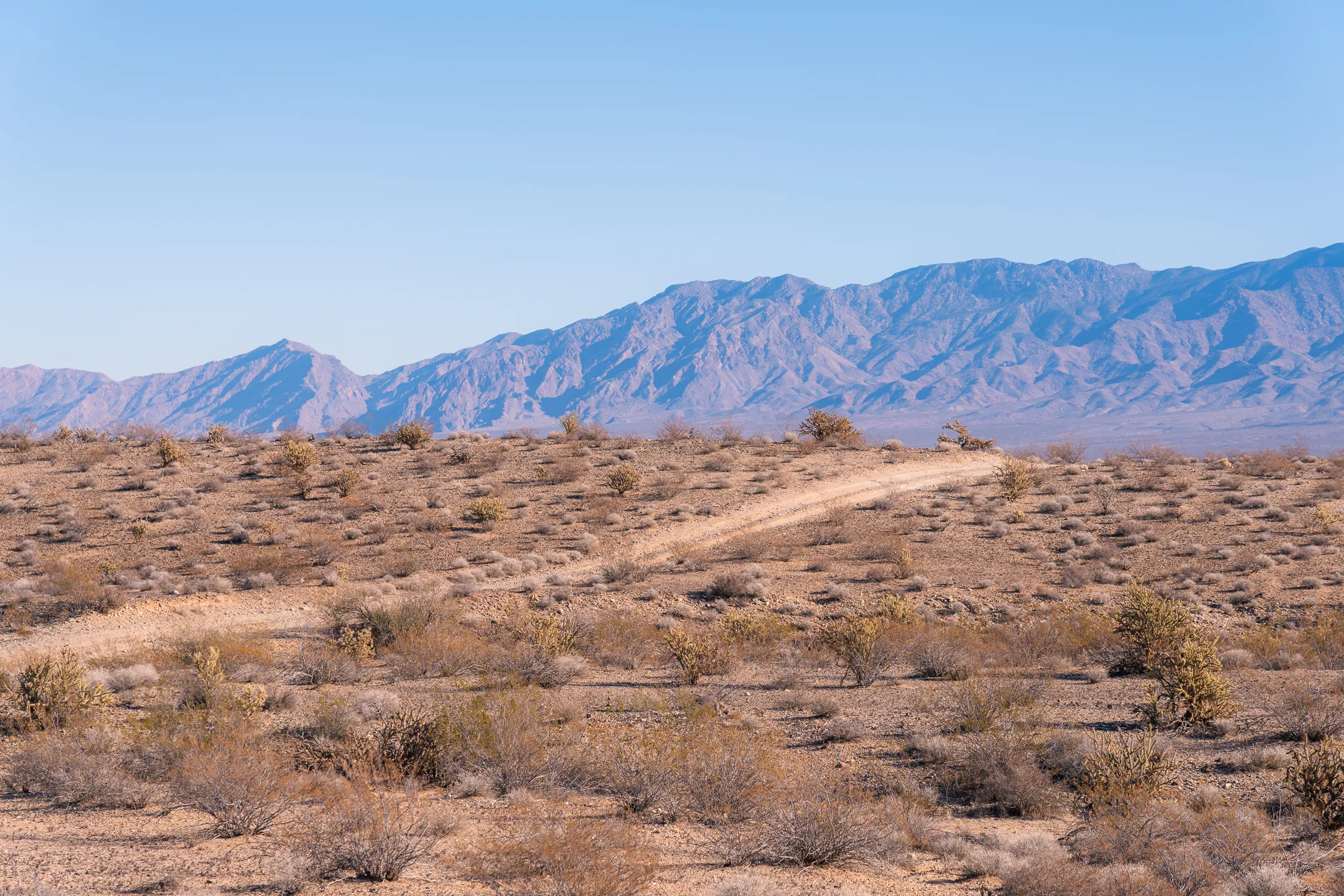 Mesquite OHV Trail Network