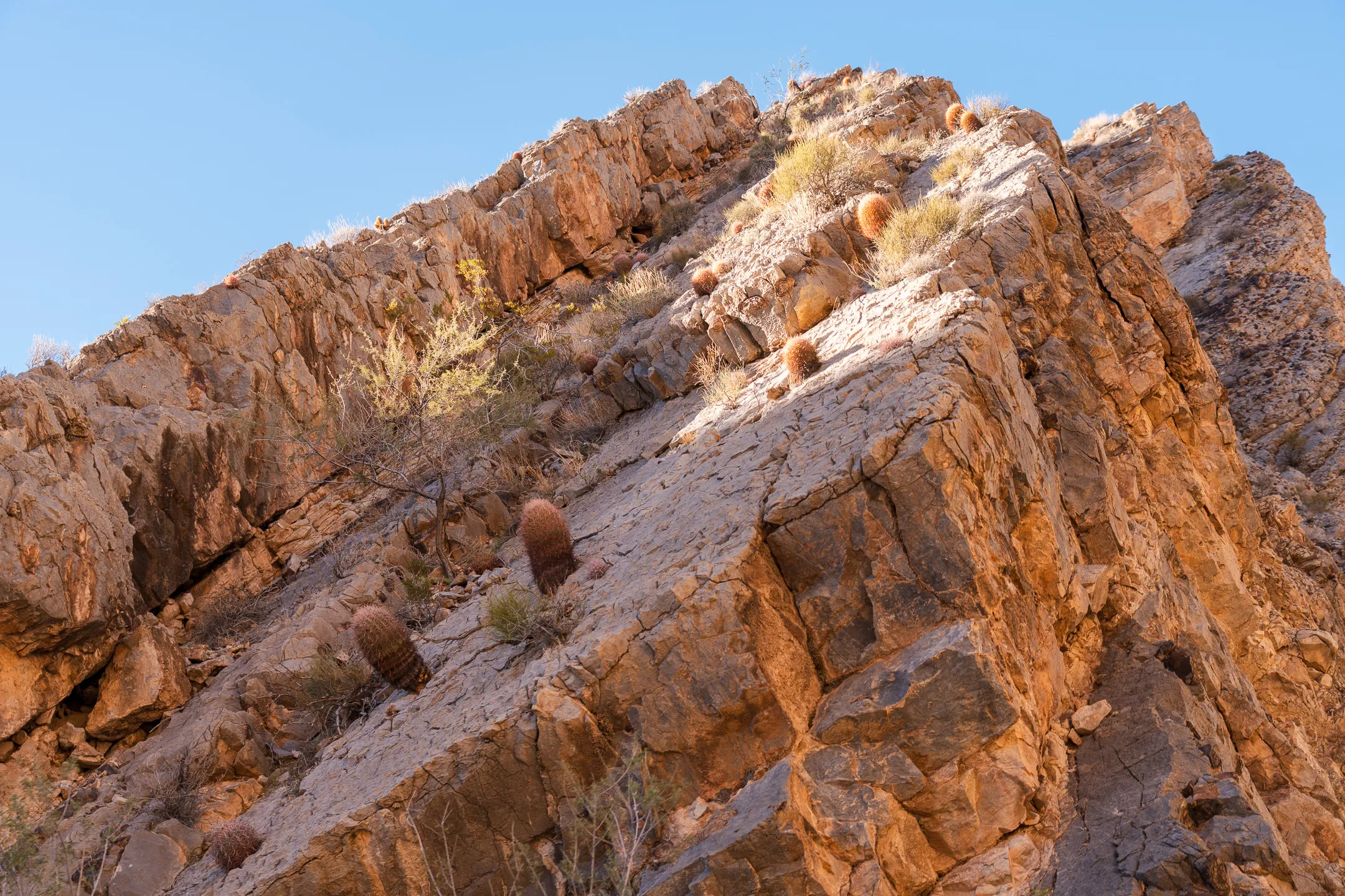 Arrow Canyon Wilderness