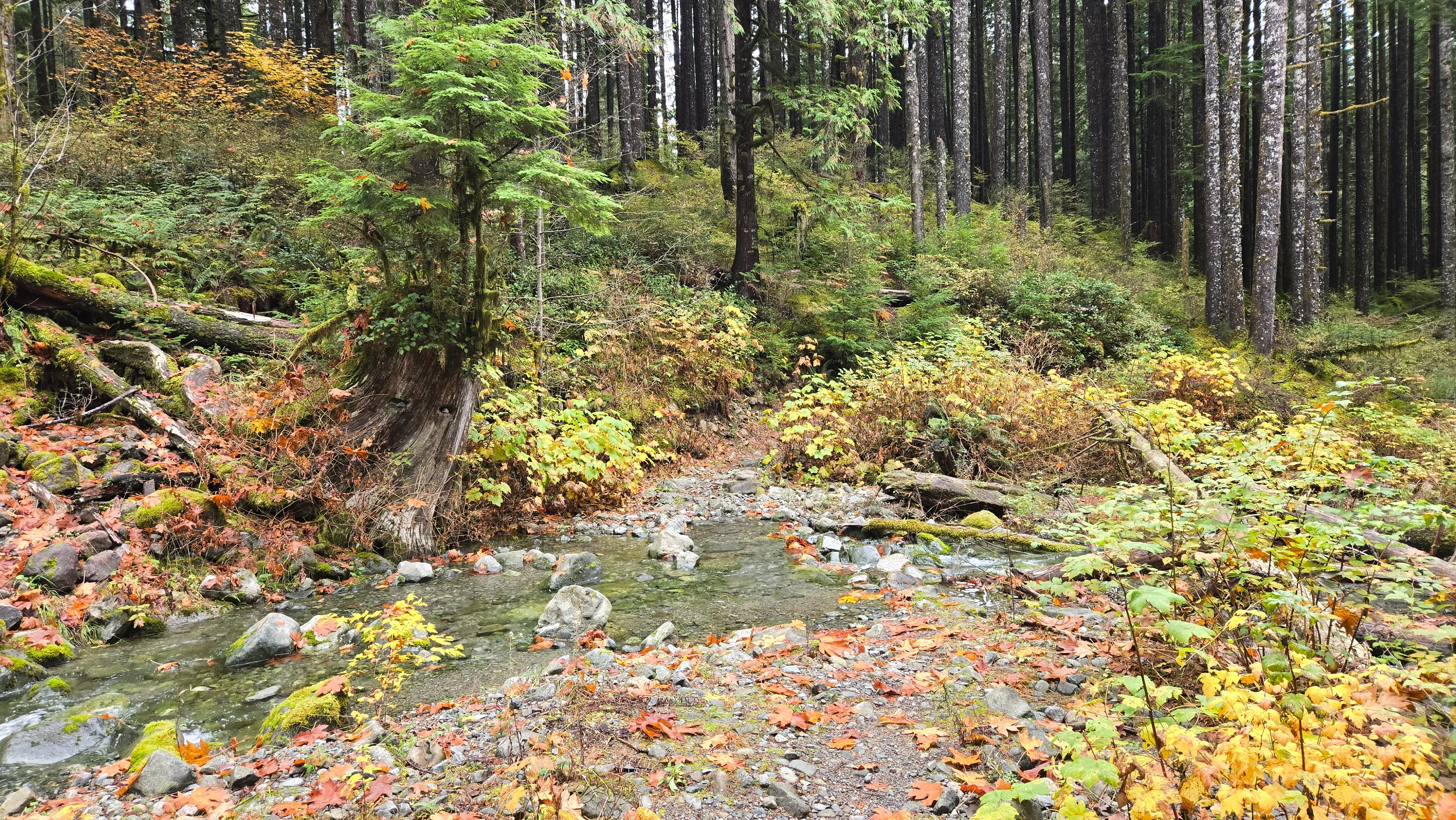 CCC Road: Upper Trailhead