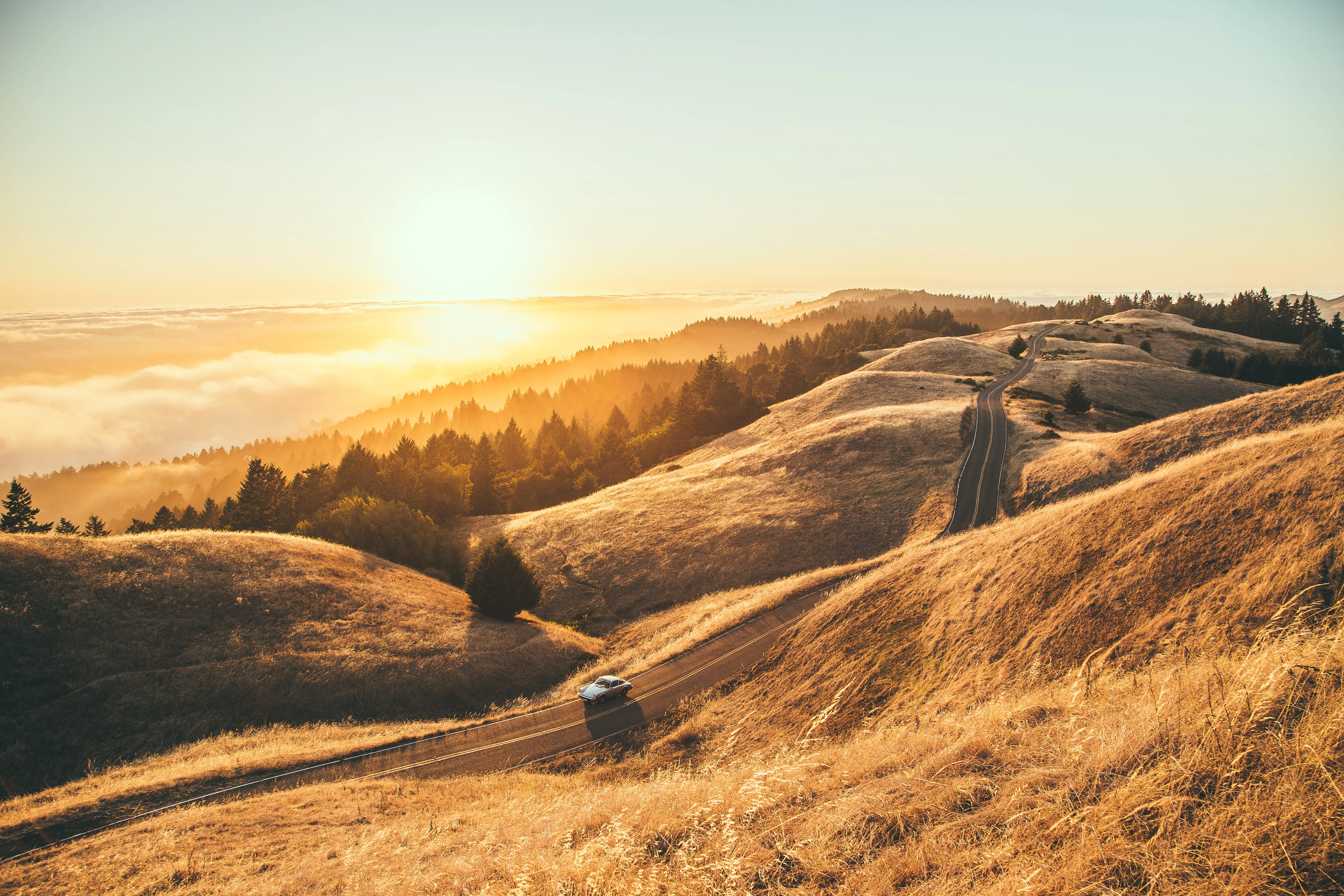 Summit of Mt. Tamalpais Loop