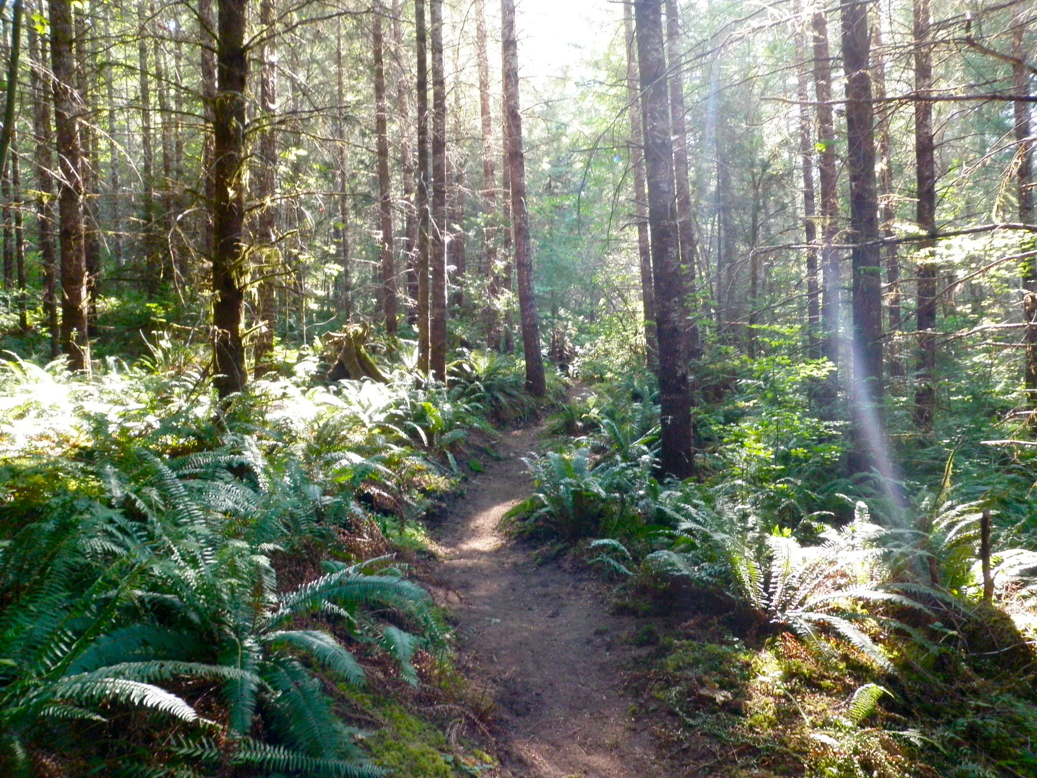 MTB on Phil's Trail Single Track