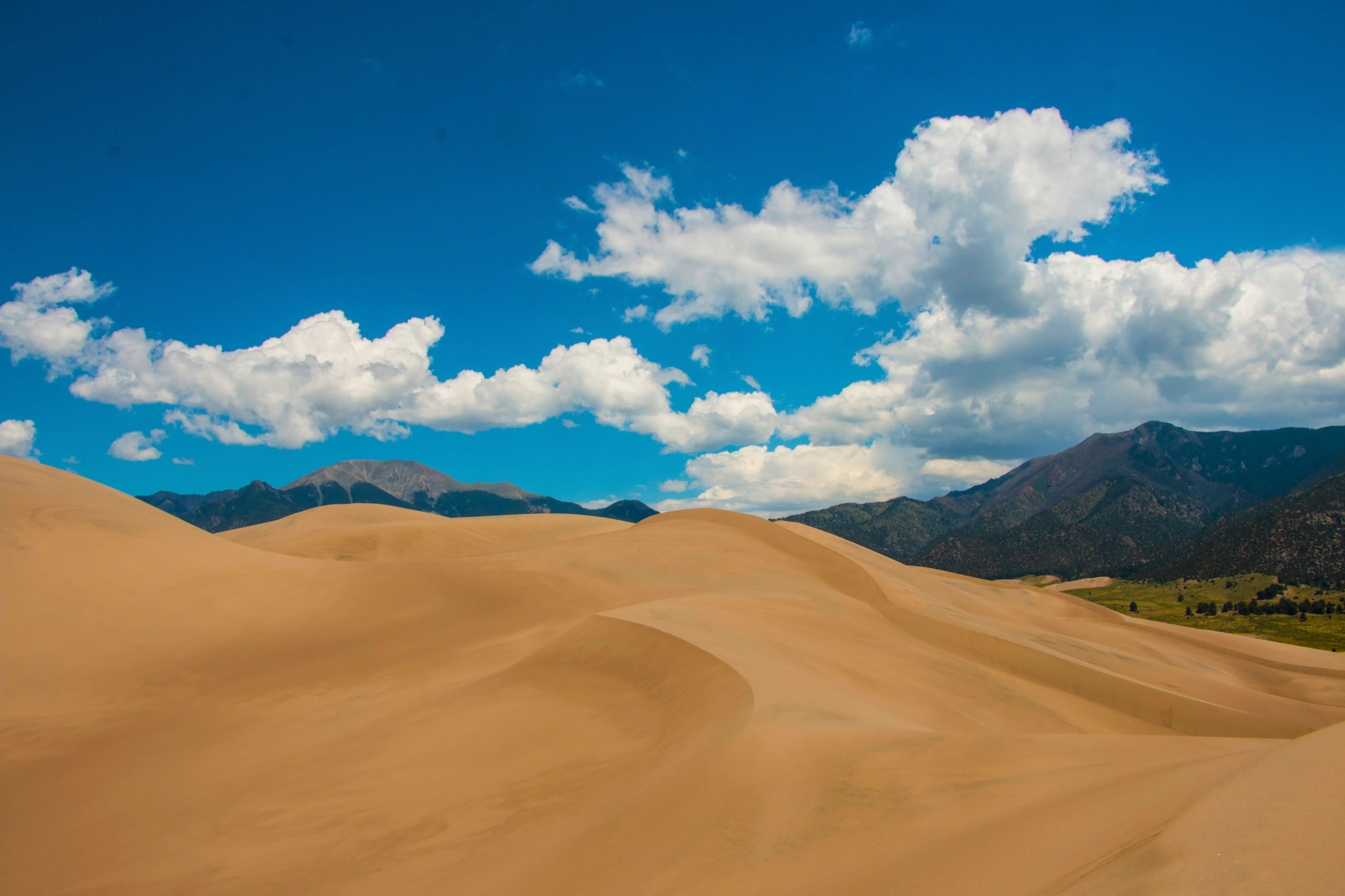High Dune