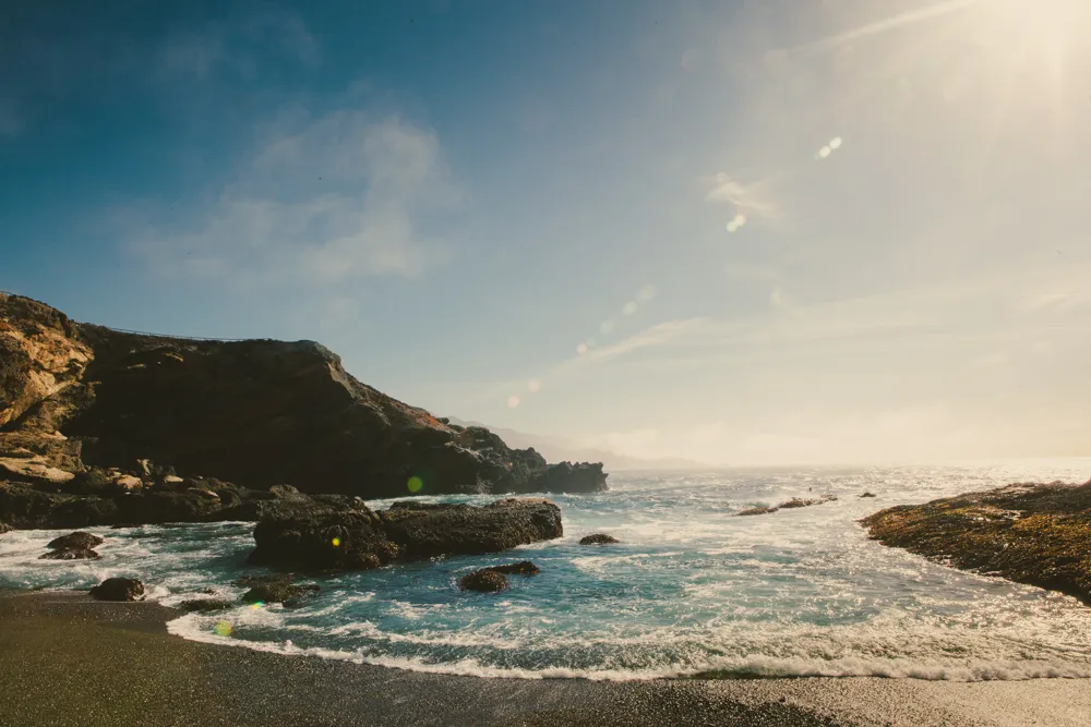 Whalers Cove  Loop