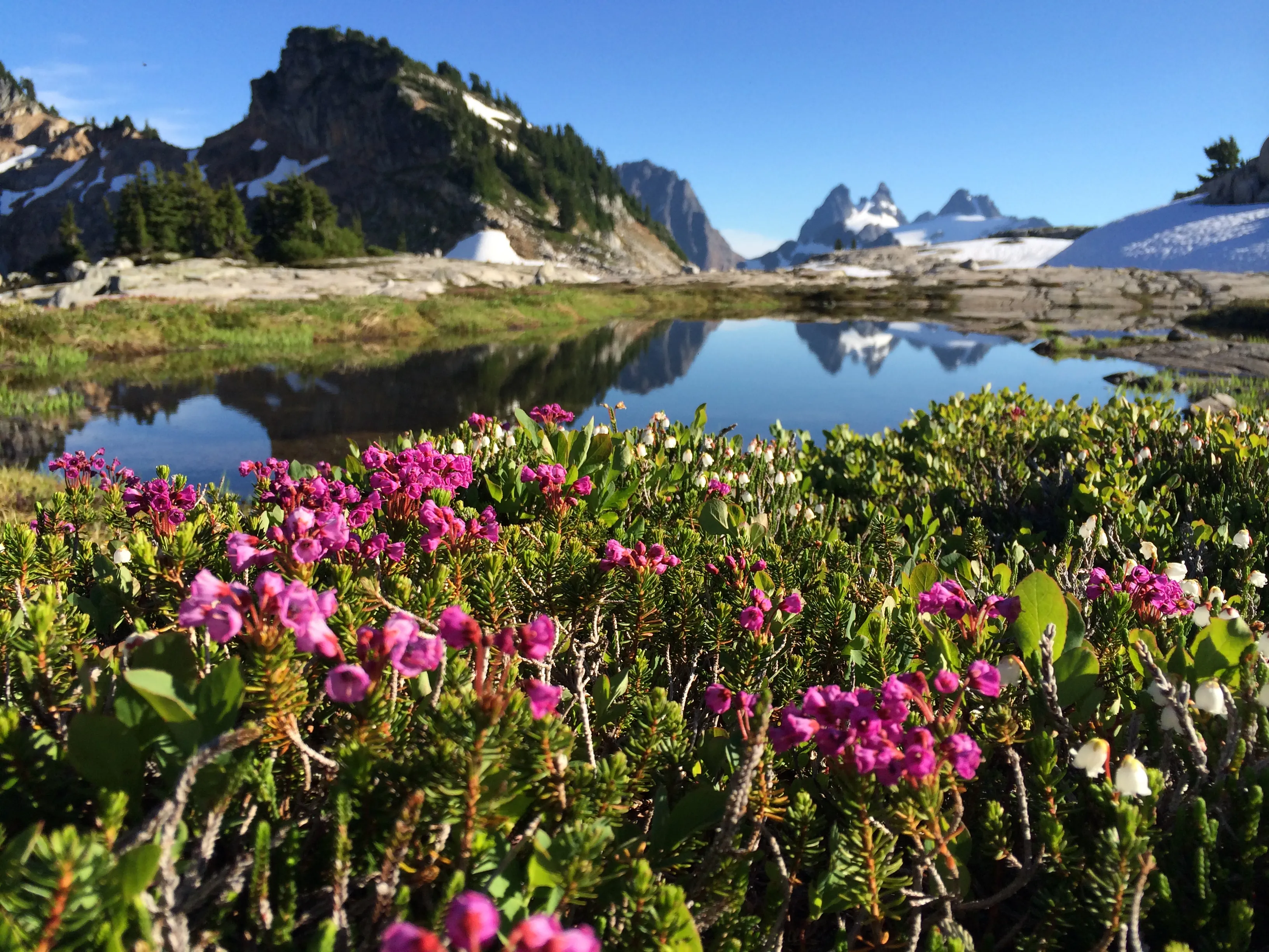 Tank Lakes via Necklace Valley