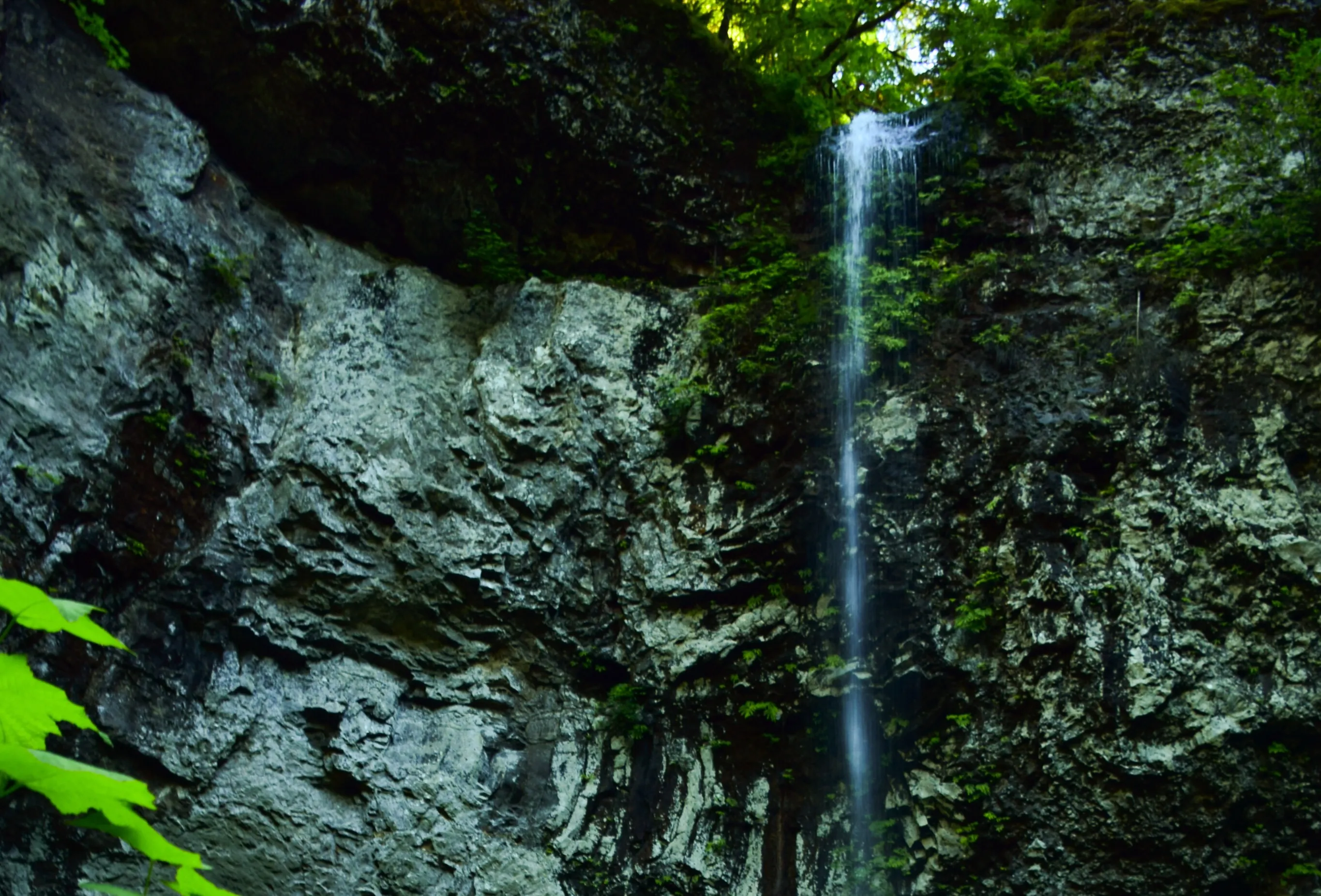 Hike to Niagara Falls, OR