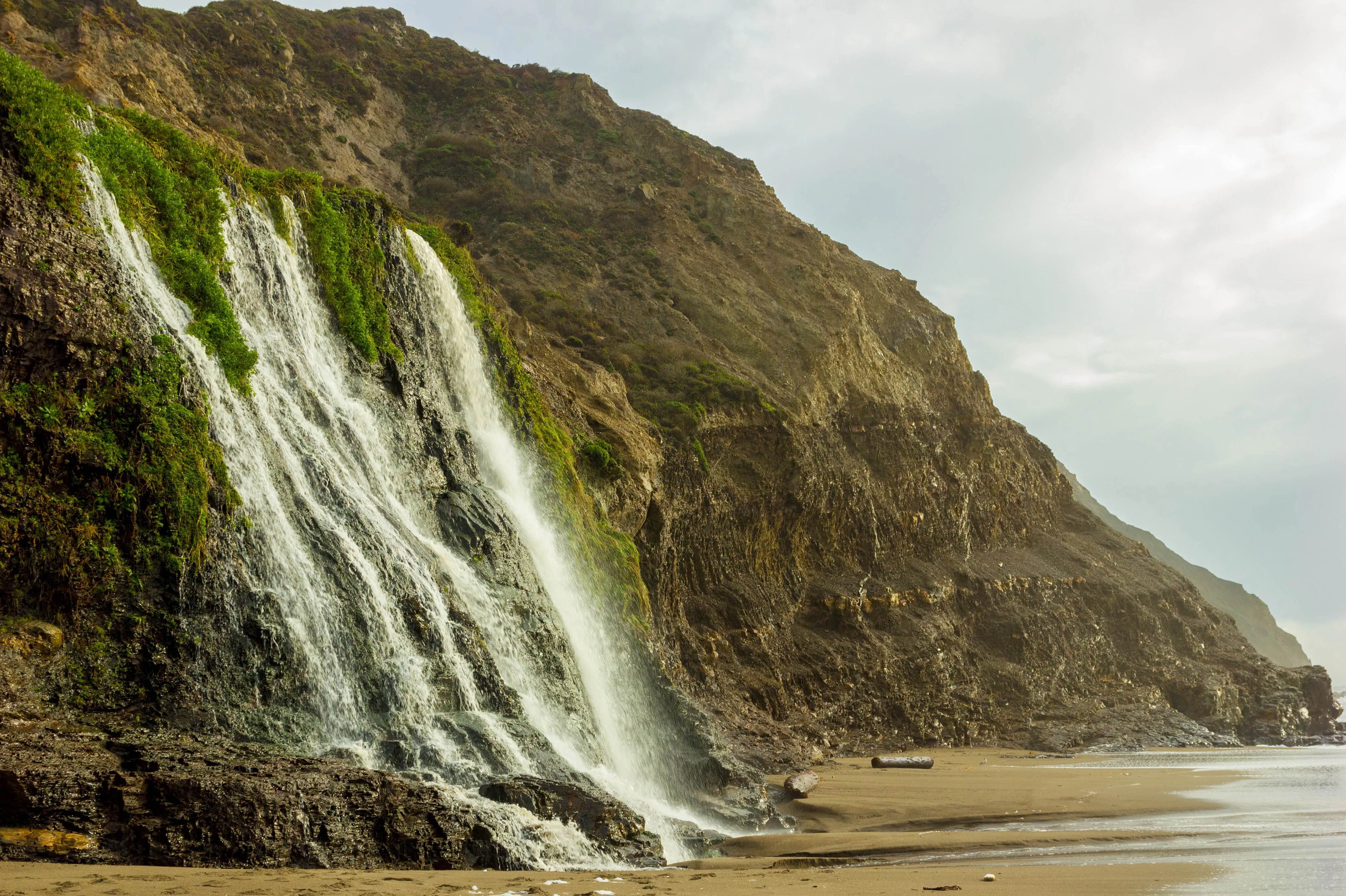 Alamere Falls via Palomarin Trailhead 