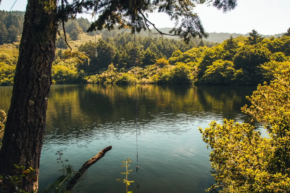 Bass Lake via Palomarin Trailhead