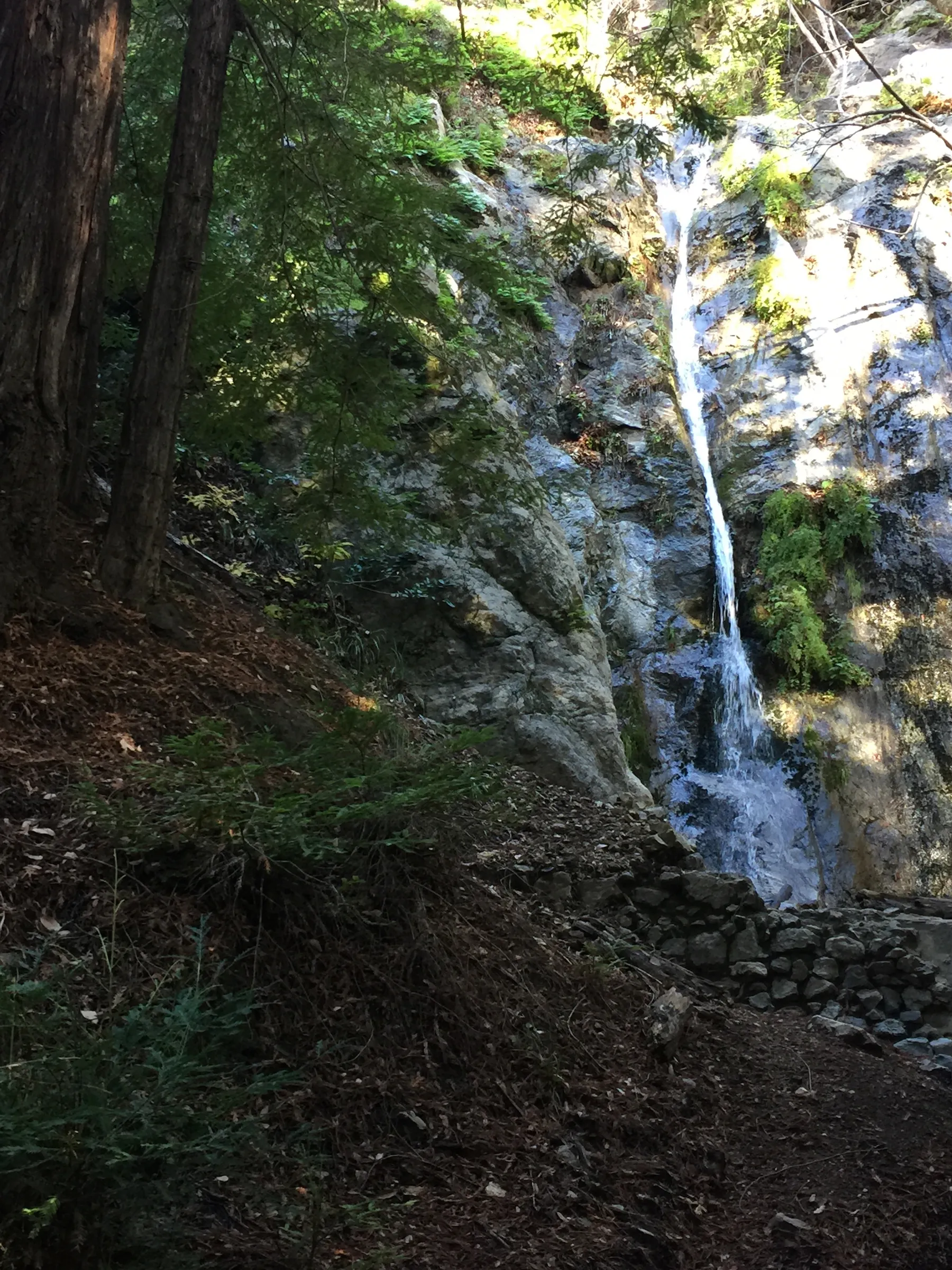Pfeiffer Falls