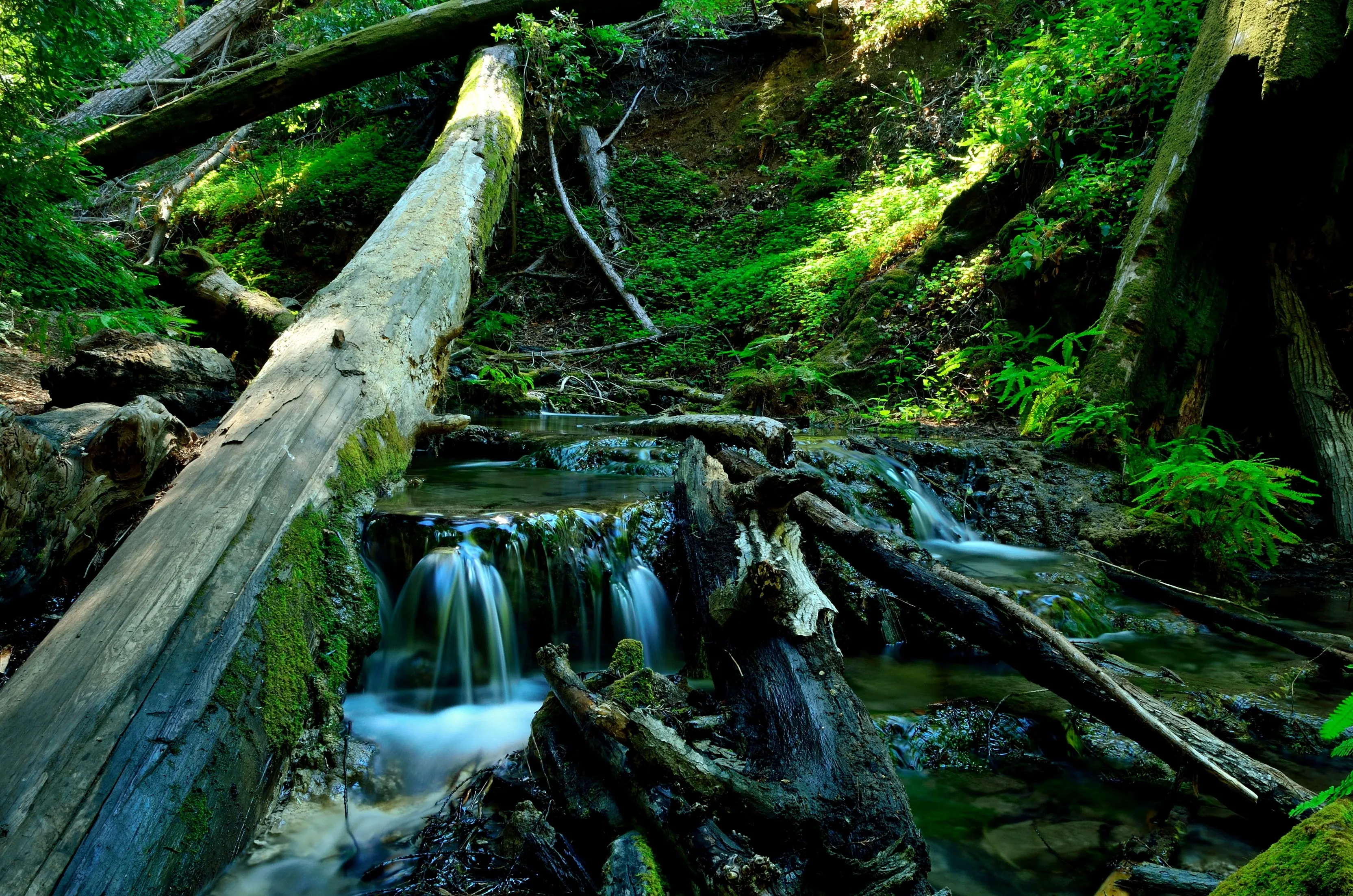 Sykes Hot Springs via Pine Ridge Trail
