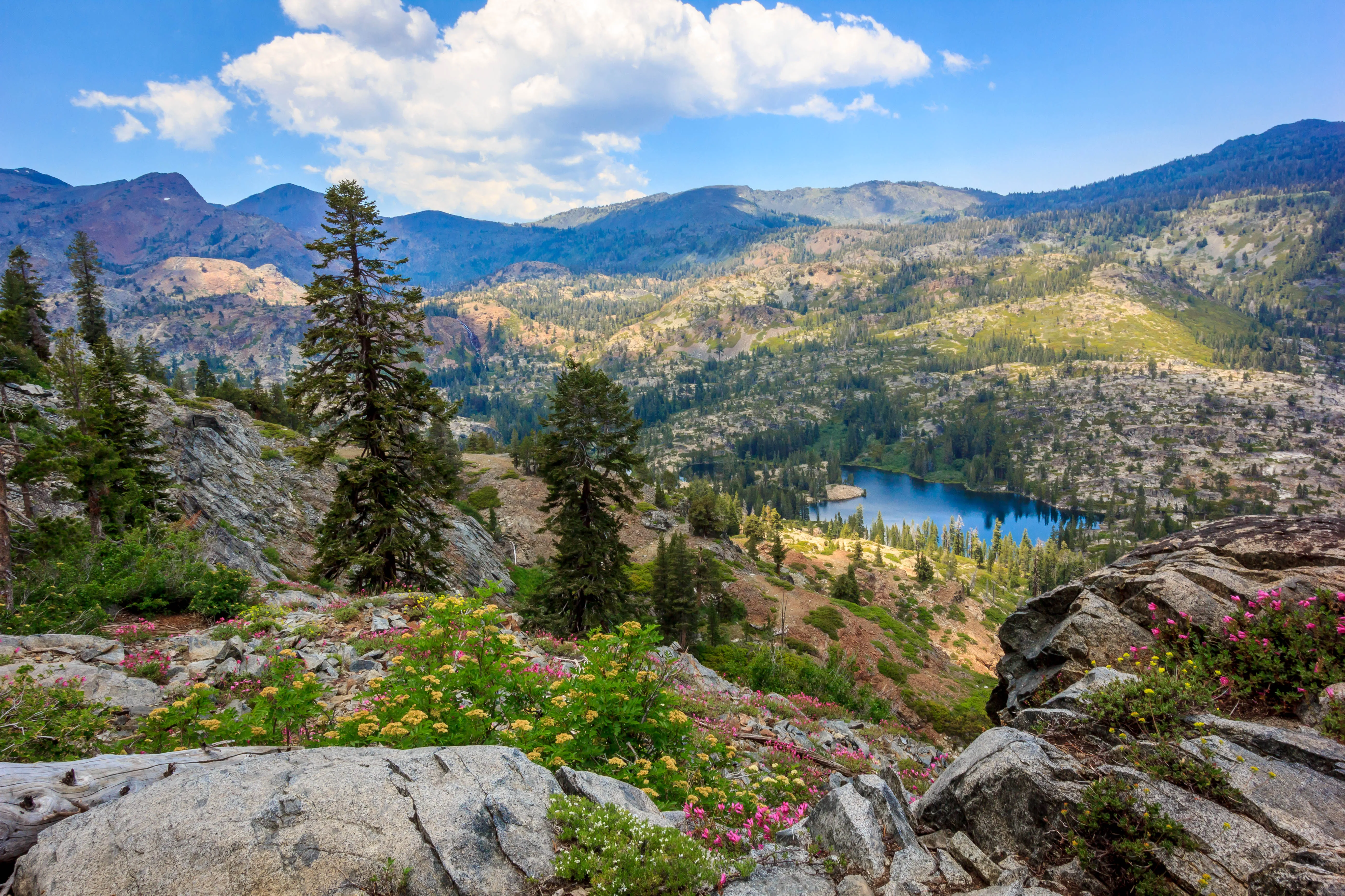 Glen Alpine Falls and Grass Lake