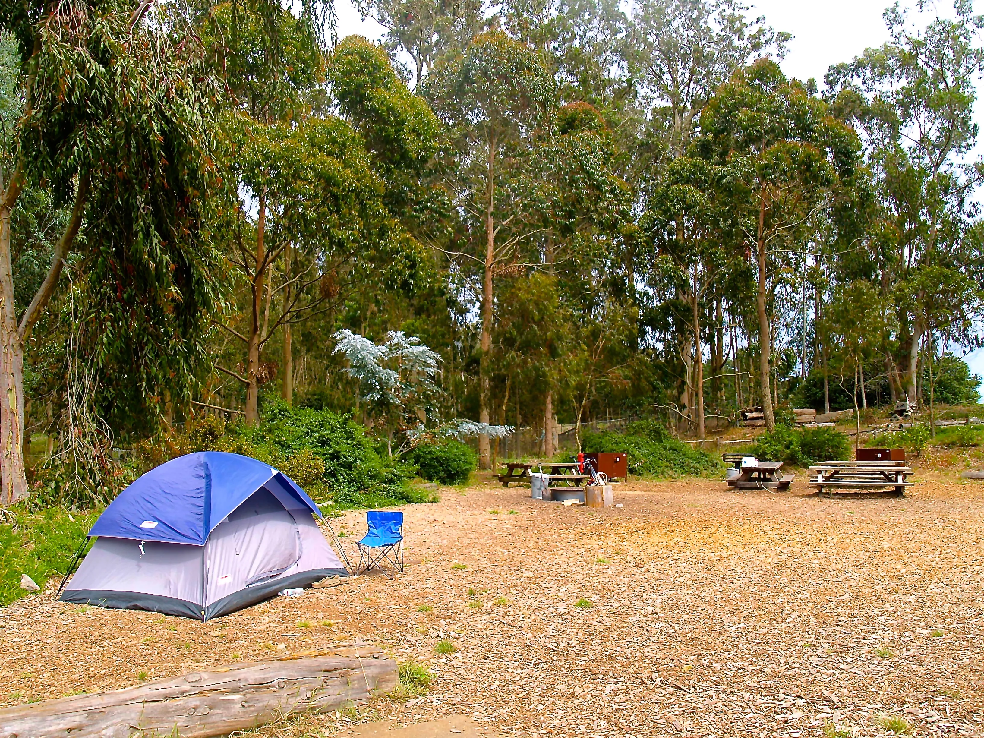 Camp at the Rob Hill Campground