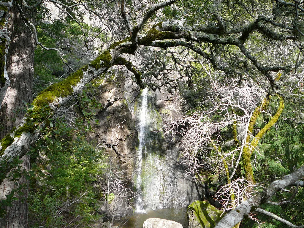 Carson Falls
