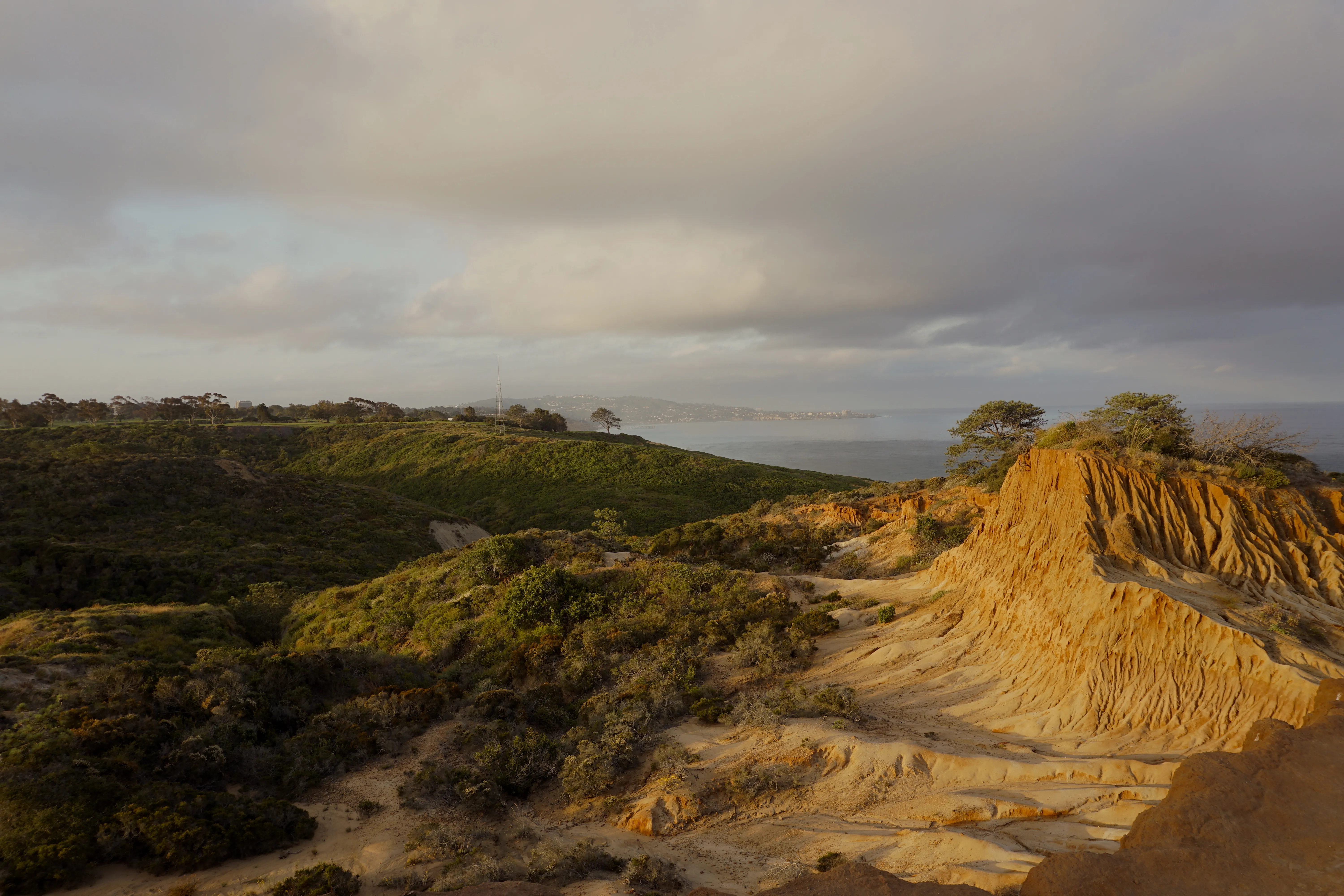 Torrey Pines Beach Trail Loop