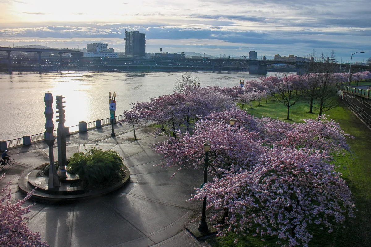 Waterfront Park