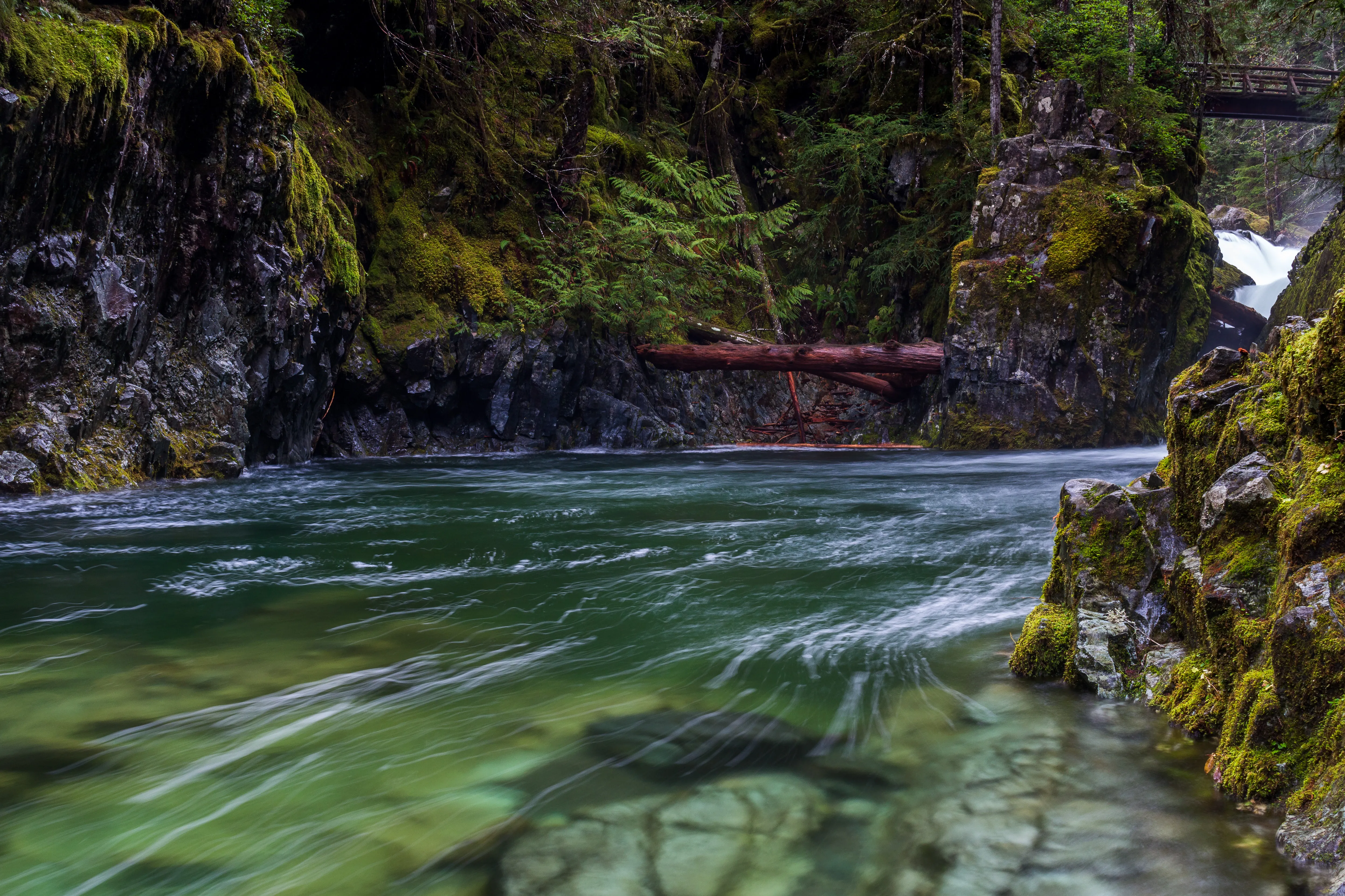 Opal Creek Pools Loop
