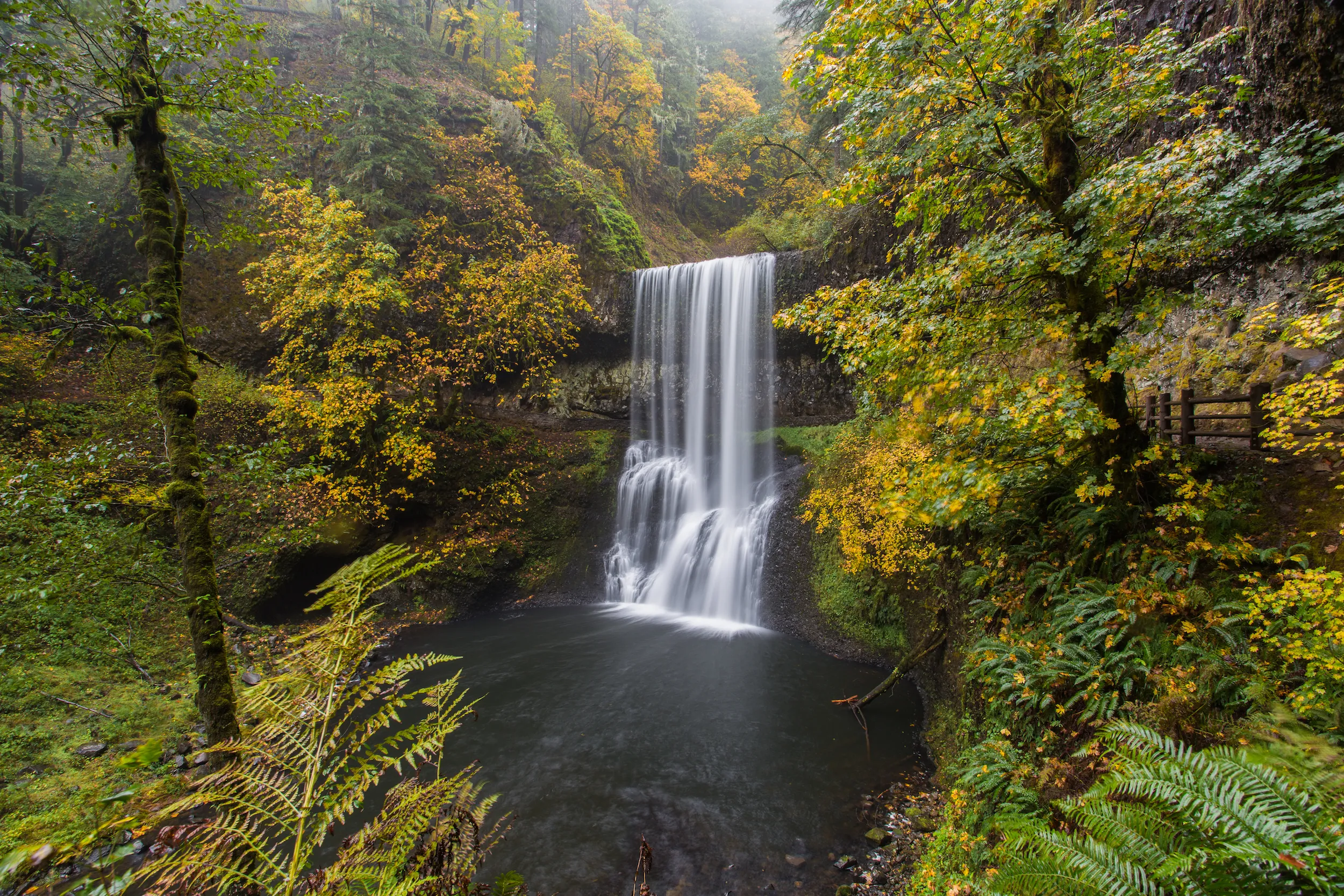 Camp in Silver Falls State Park