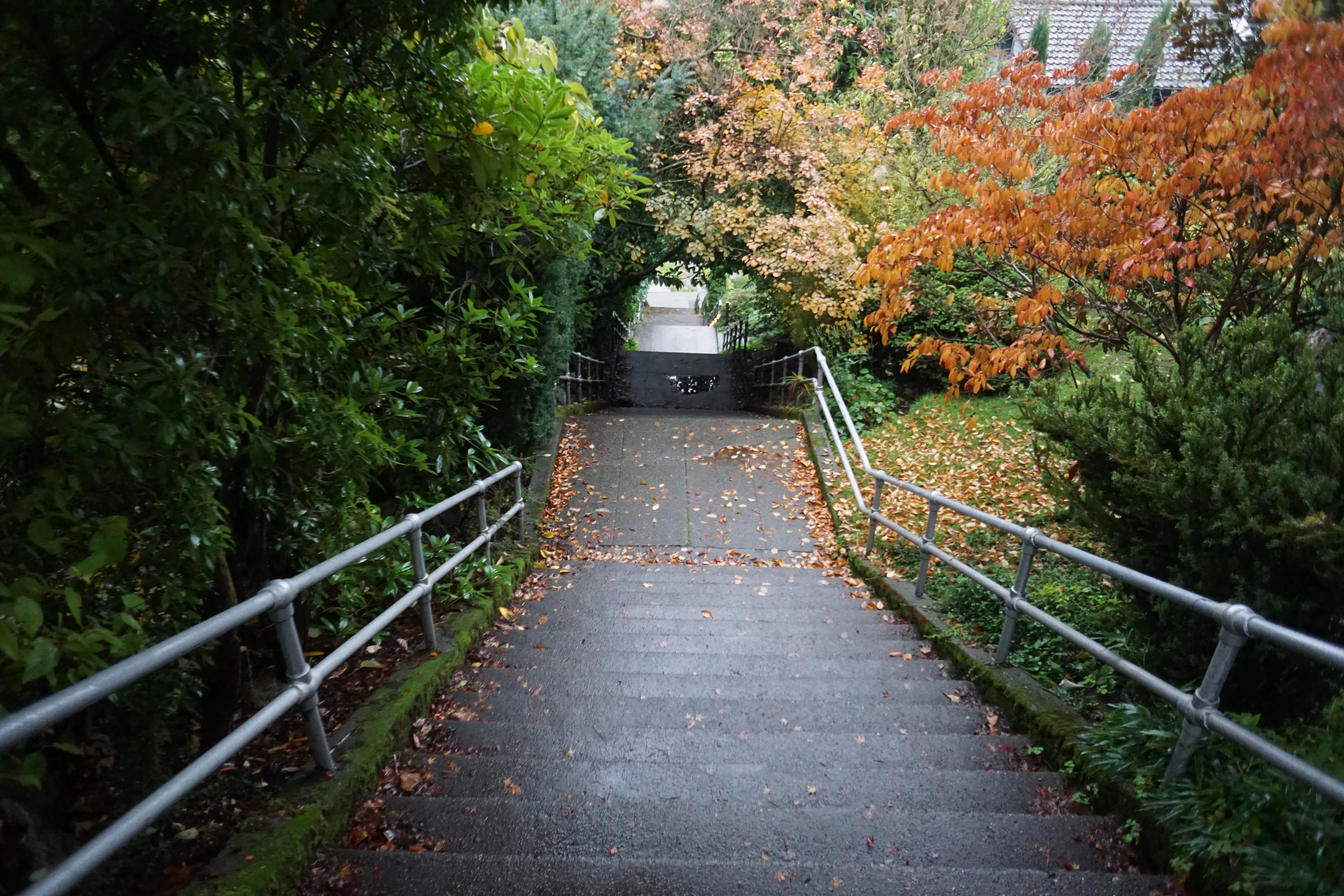 Howe Street Stairs