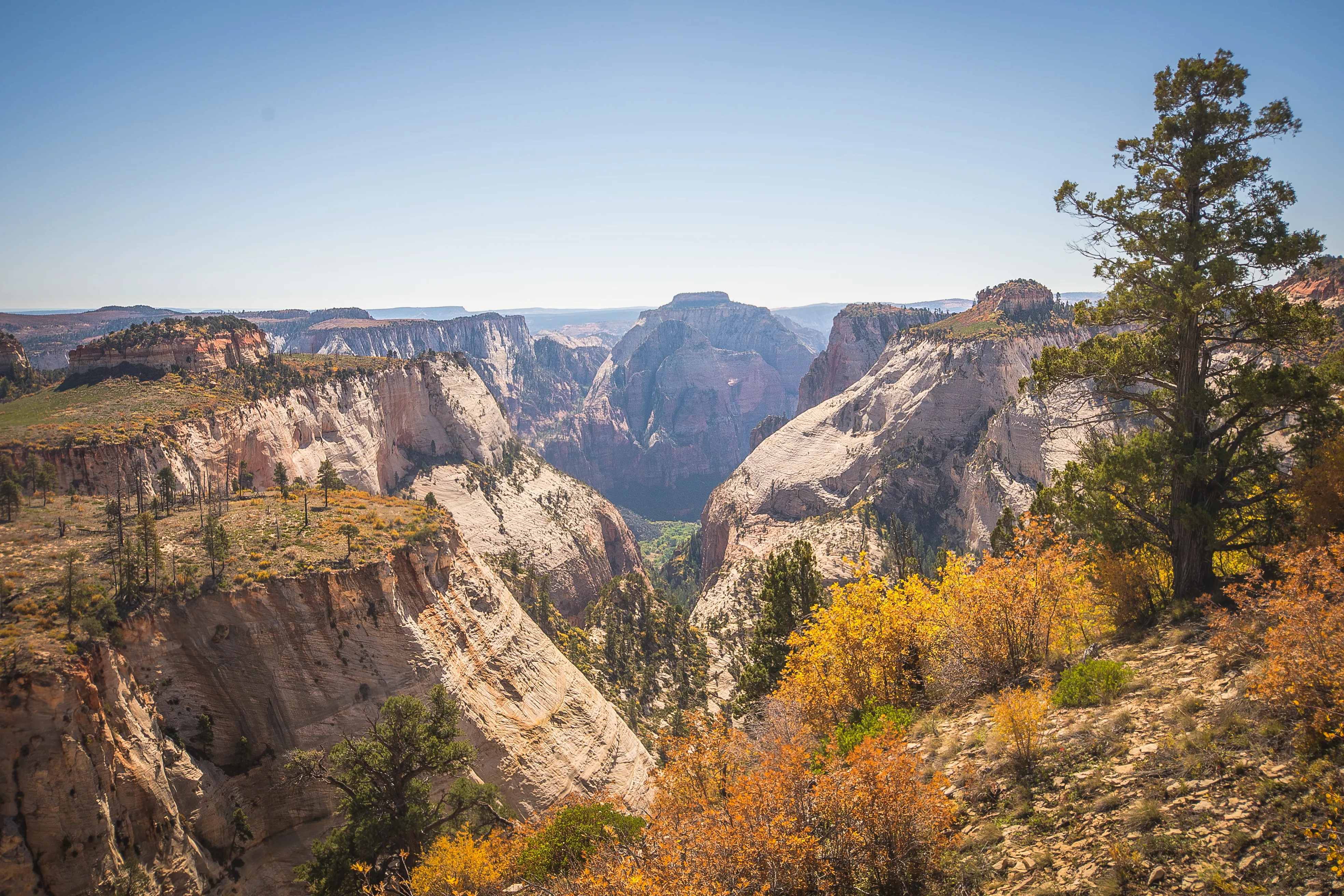 West Rim Trail, Zion NP
