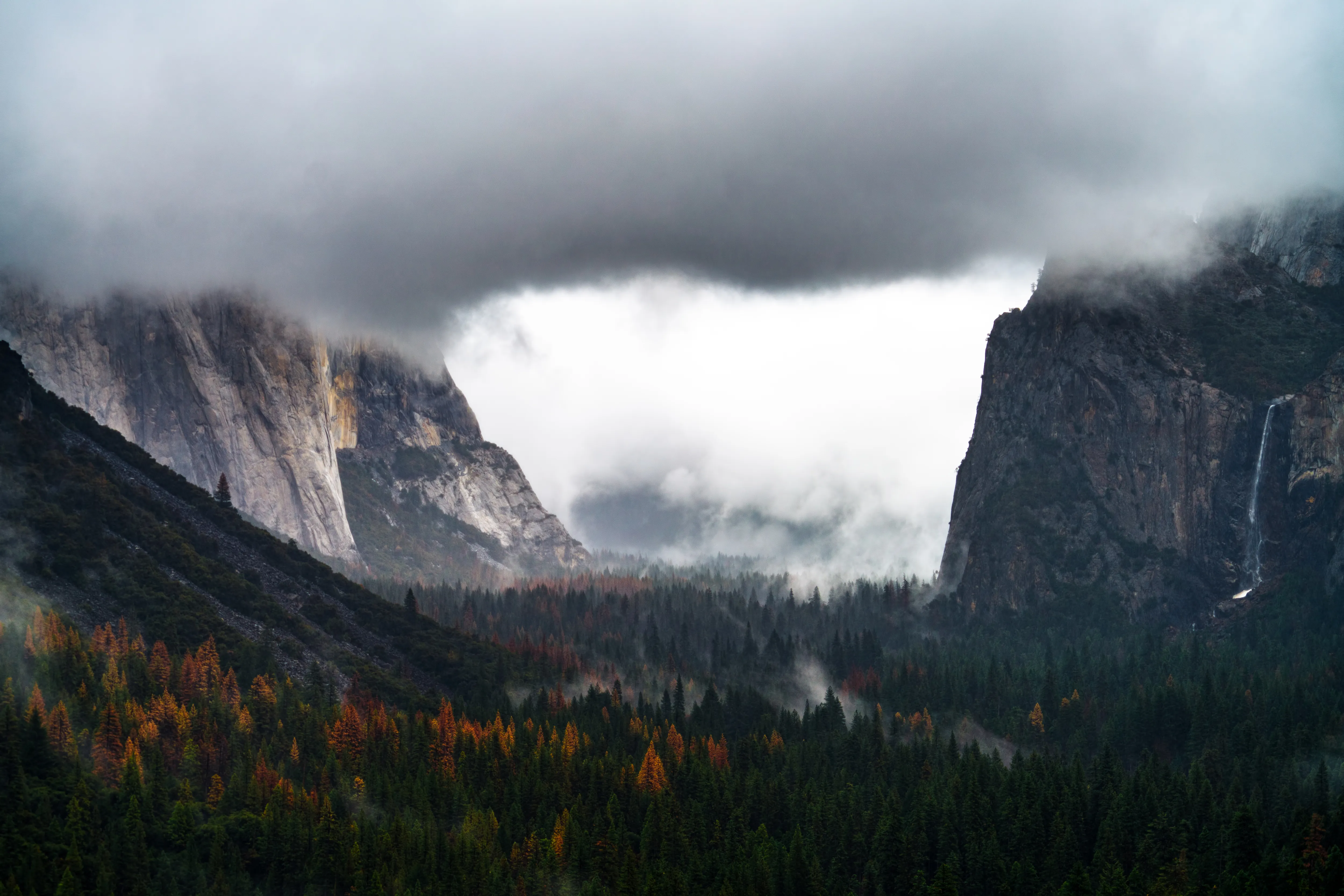Photograph Yosemite's Tunnel View