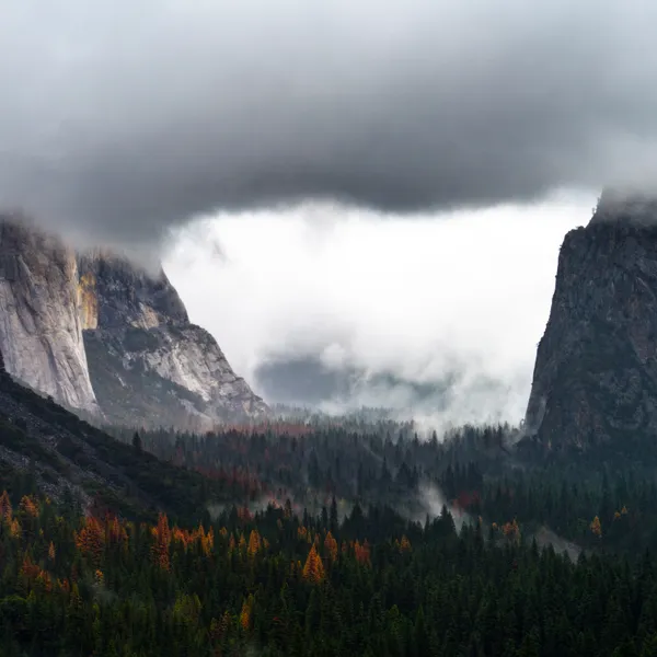 Photograph Yosemite's Tunnel View