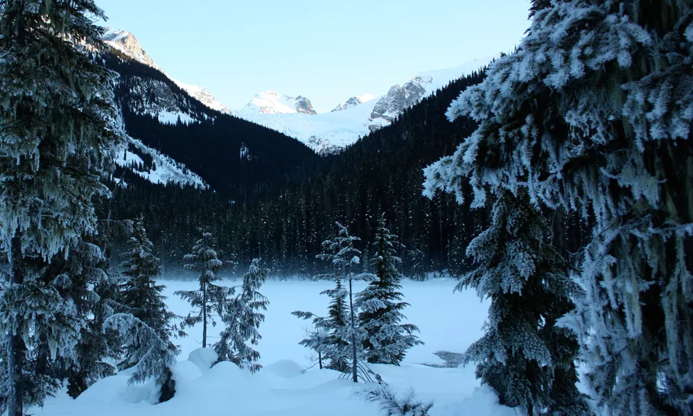 Snowshoe Joffre Lakes