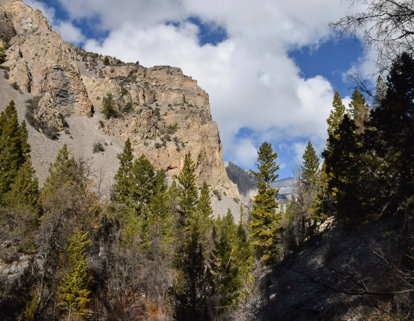 Hike to Lower Cedar Springs