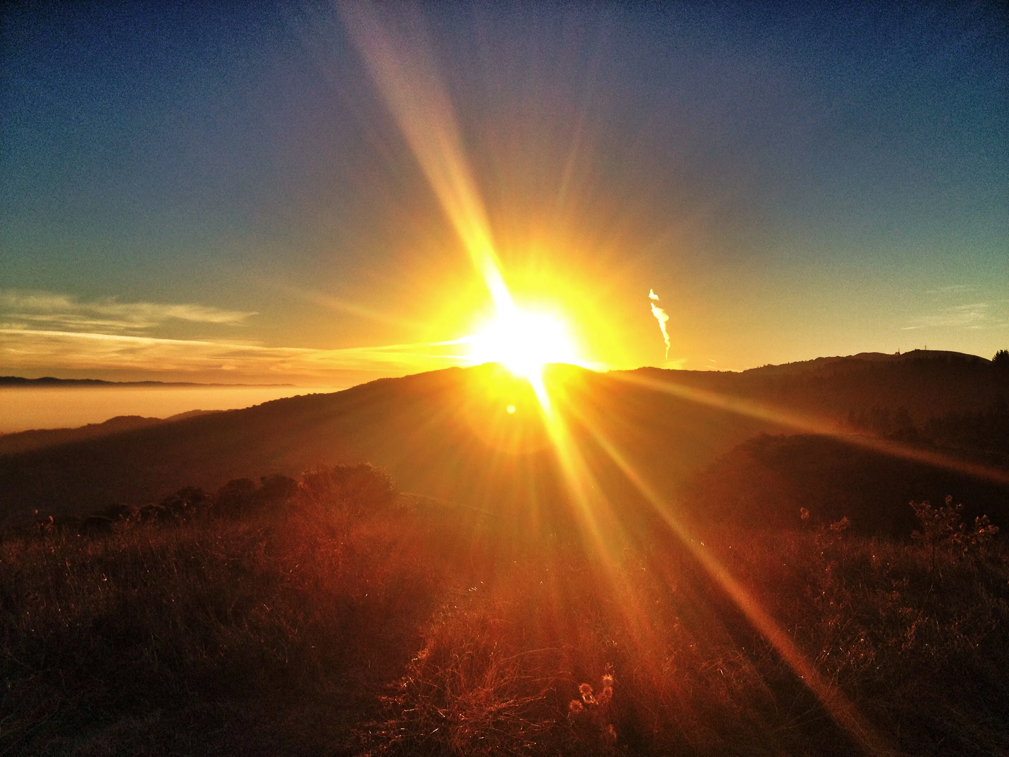 Windy Hill: Spring Ridge, Anniversary Loop