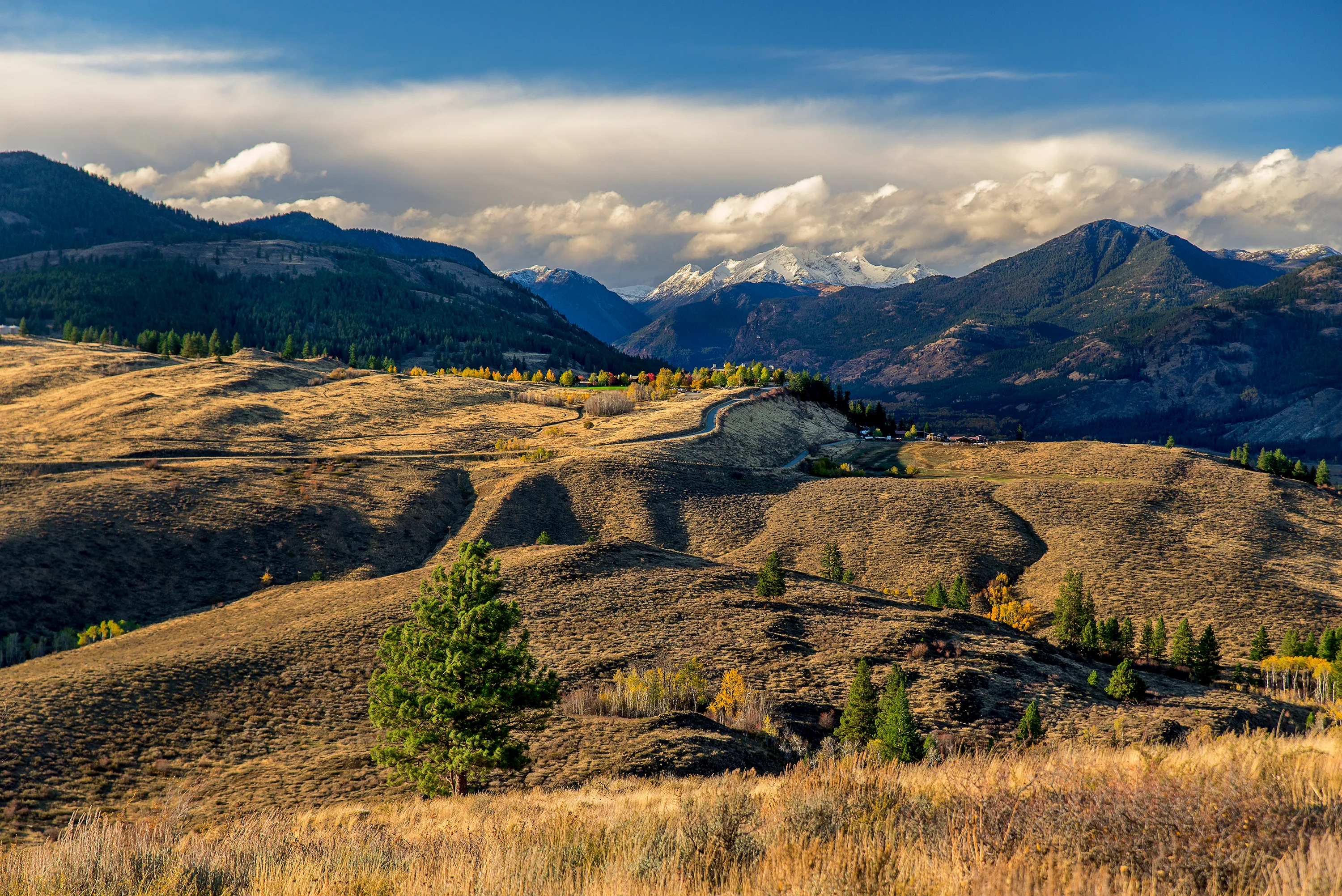 Patterson Mountain Loop