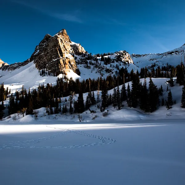 Top 5 Winter Hikes Near Salt Lake City