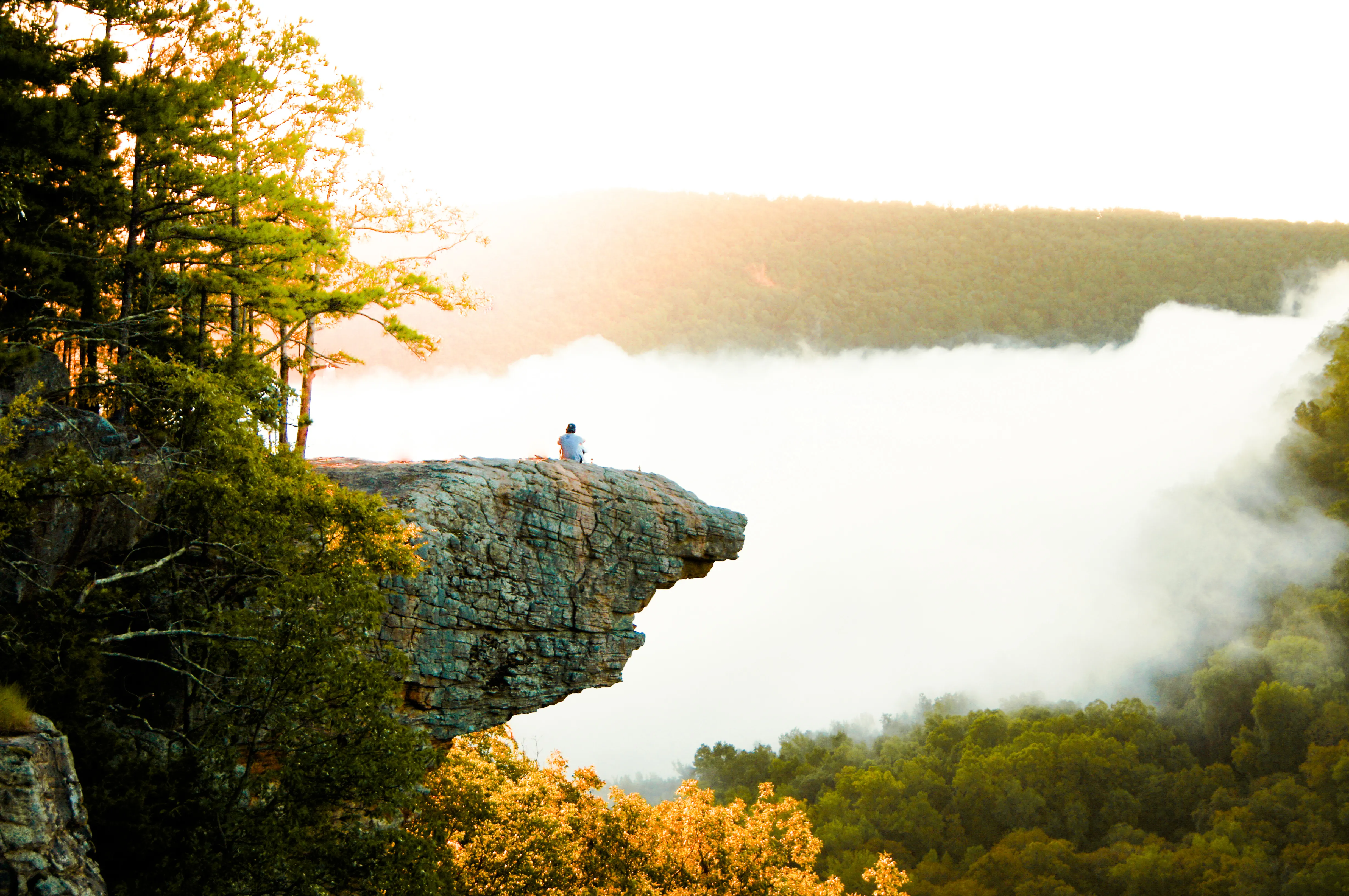 Hawksbill Crag via Whitaker Point Trail