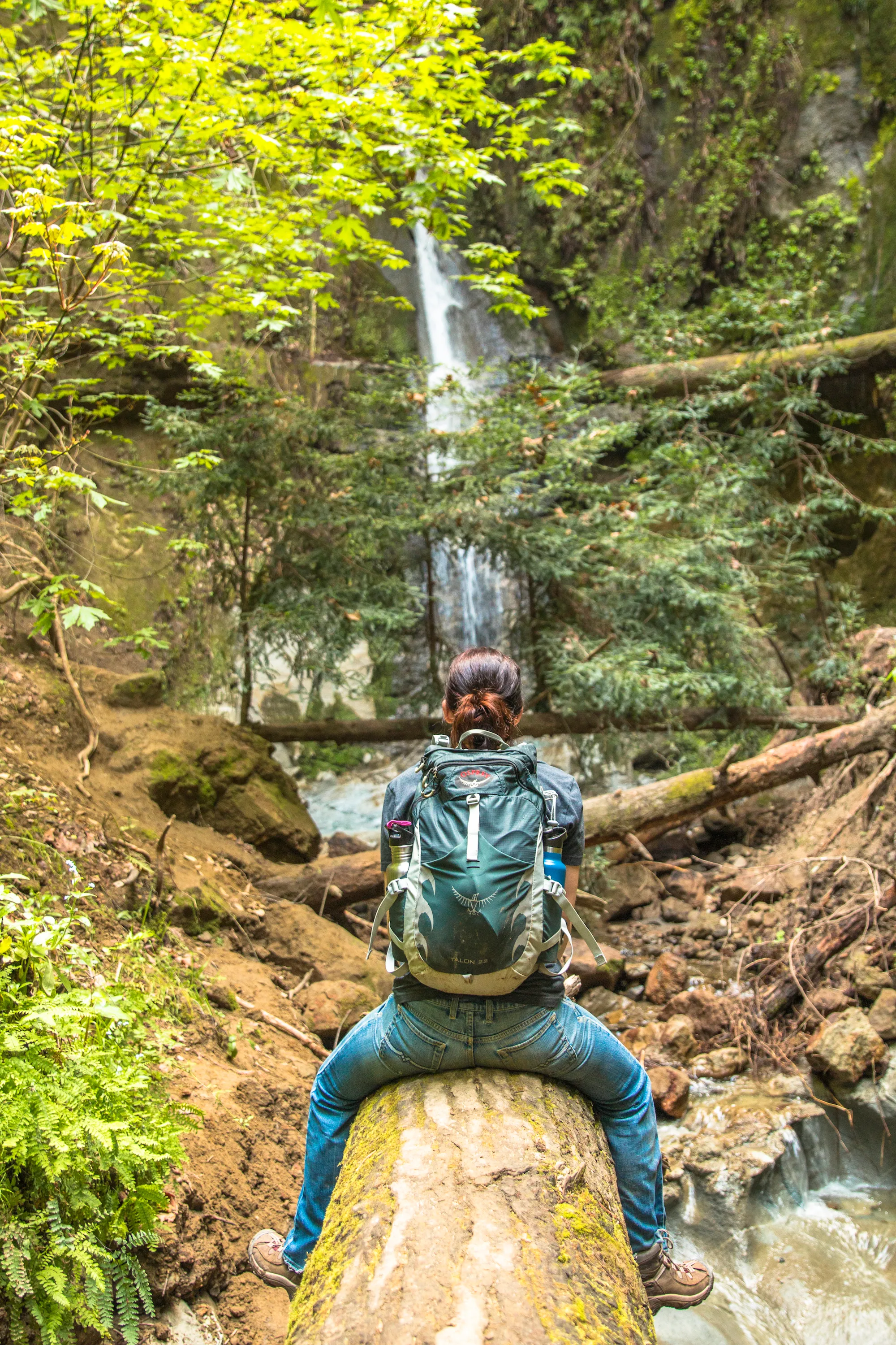 Maple Falls
