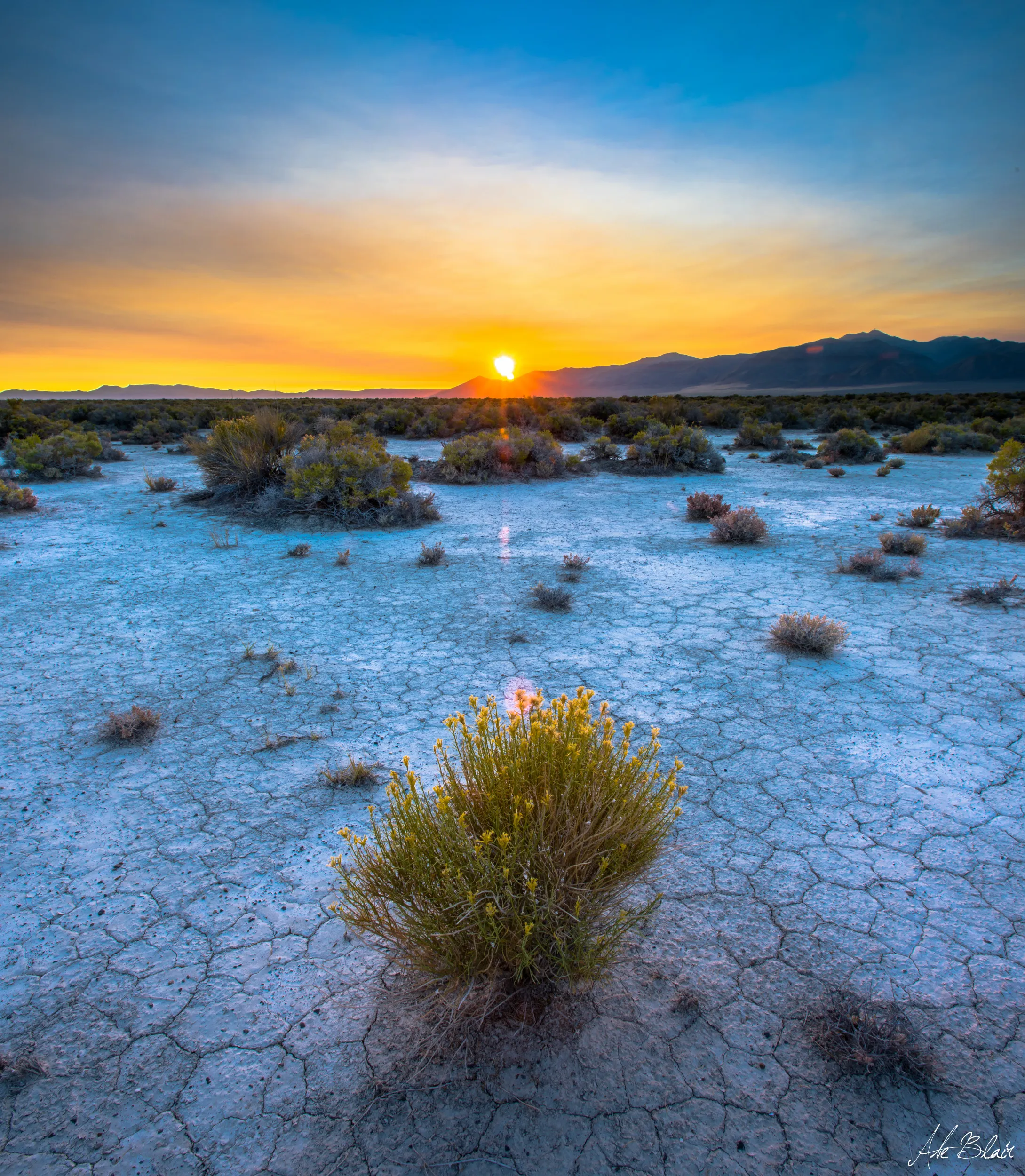 Desert Photography Exploration