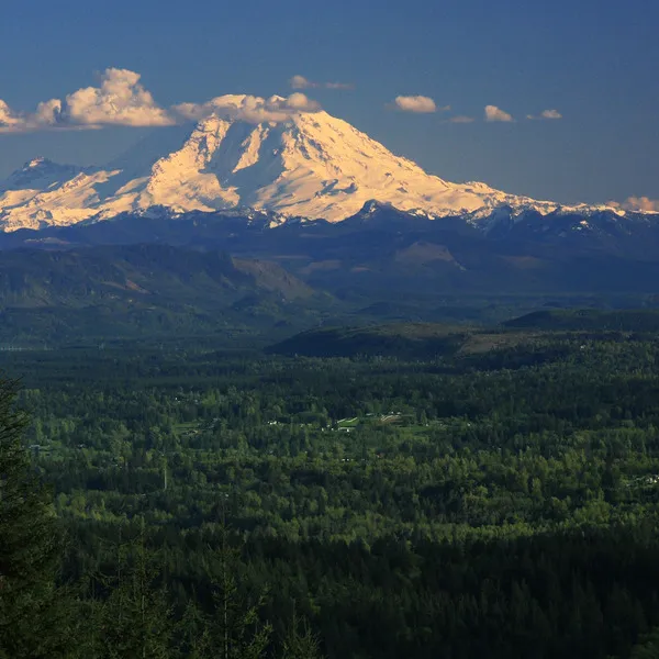 5 Trail Runs For Busy Seattleites 
