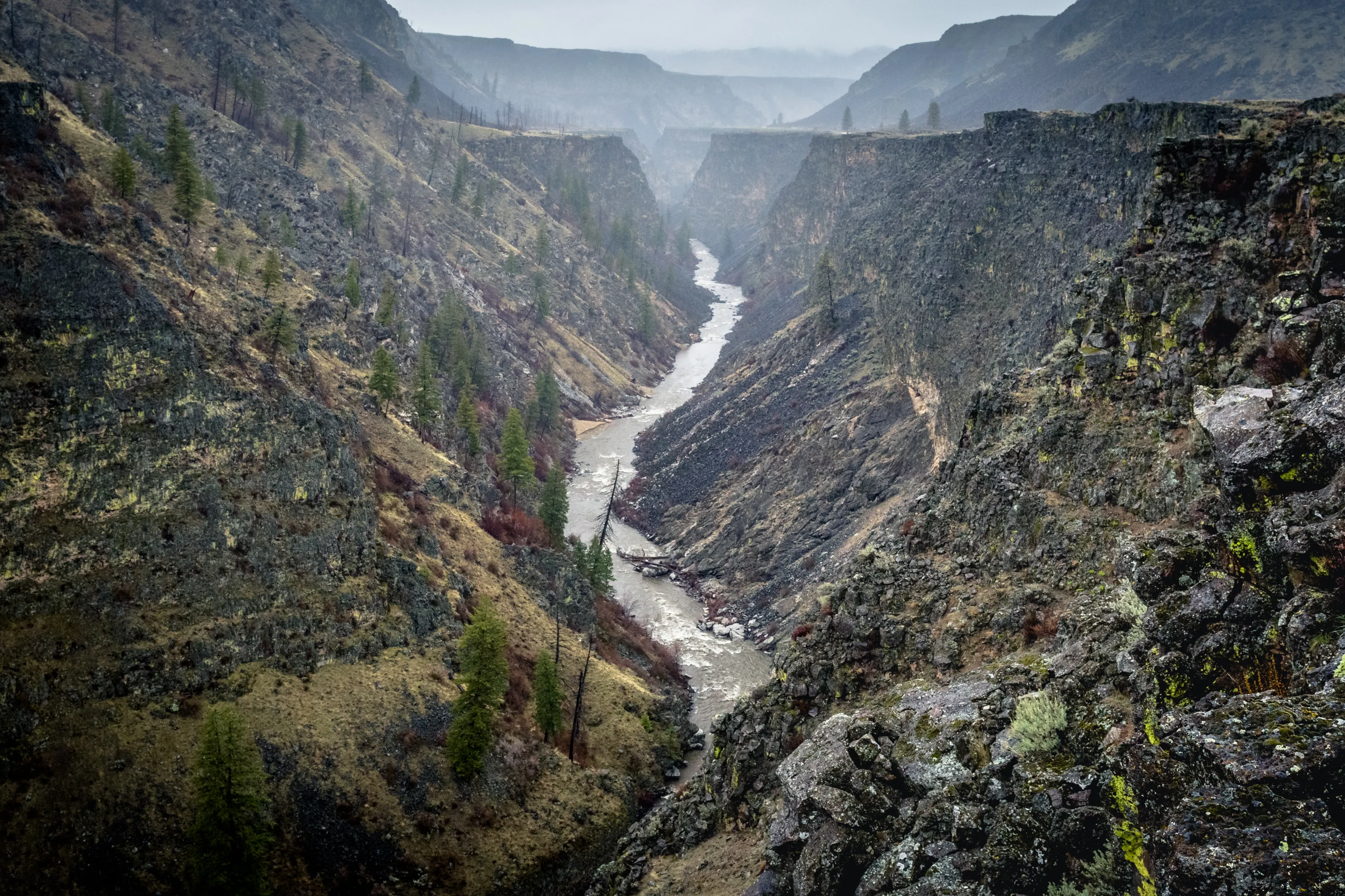 Explore the South Fork of the Boise River