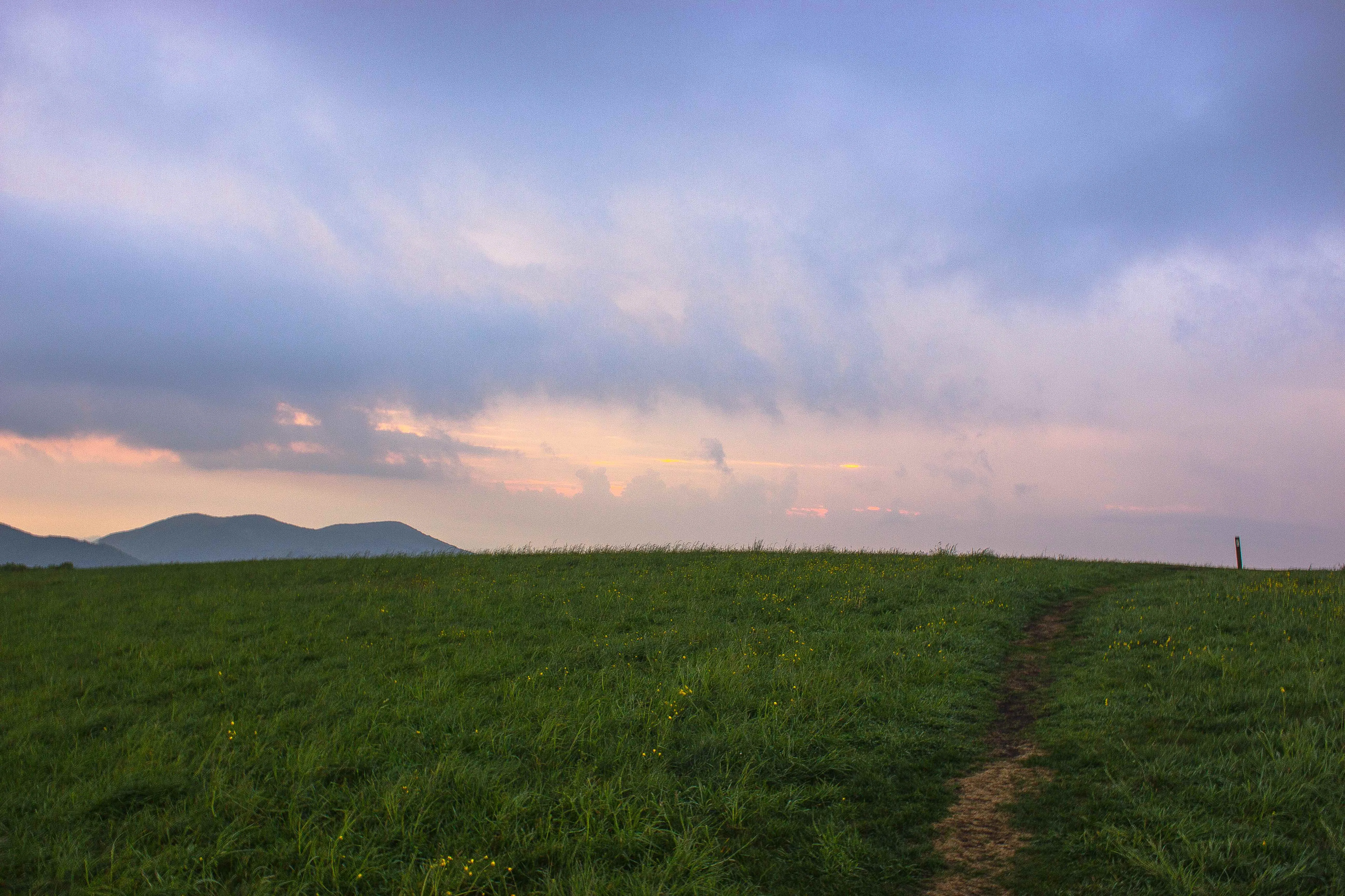 Max Patch Mountain