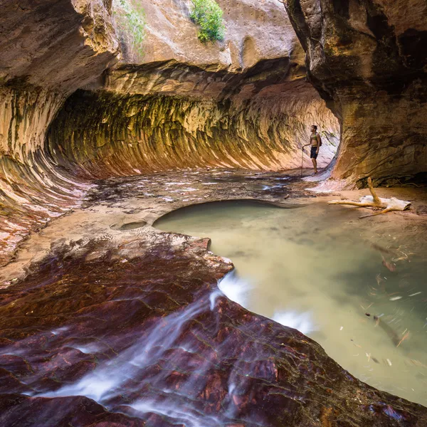 5 Reasons To Explore Zion National Park