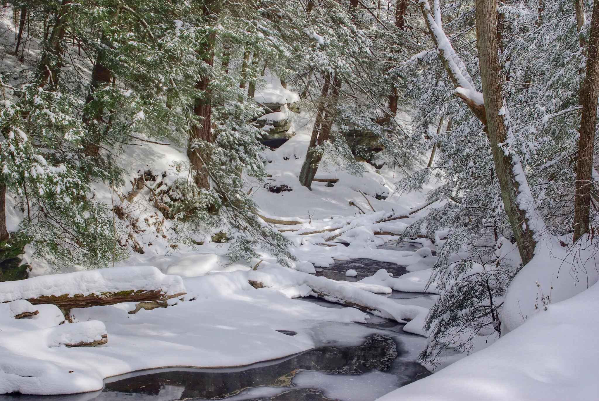 Hike Through Hells Hollow