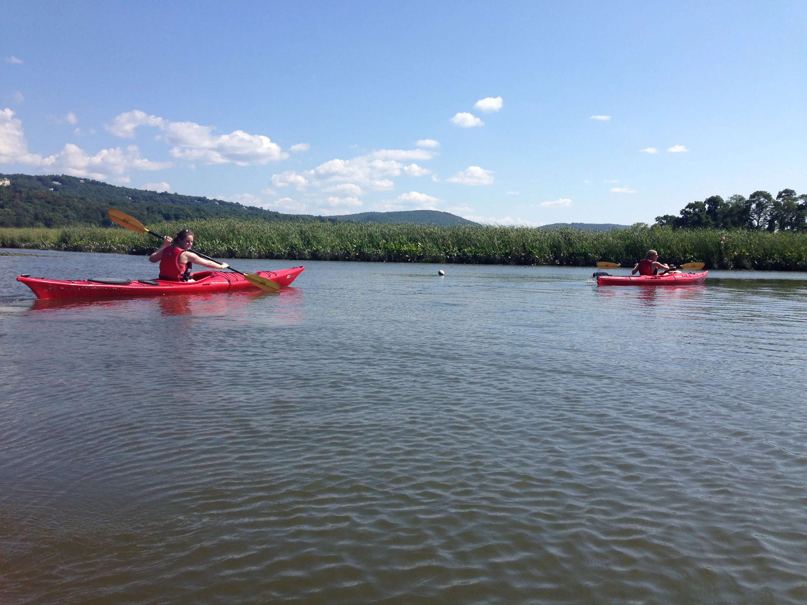 Kayak the Hudson River in Cold Spring