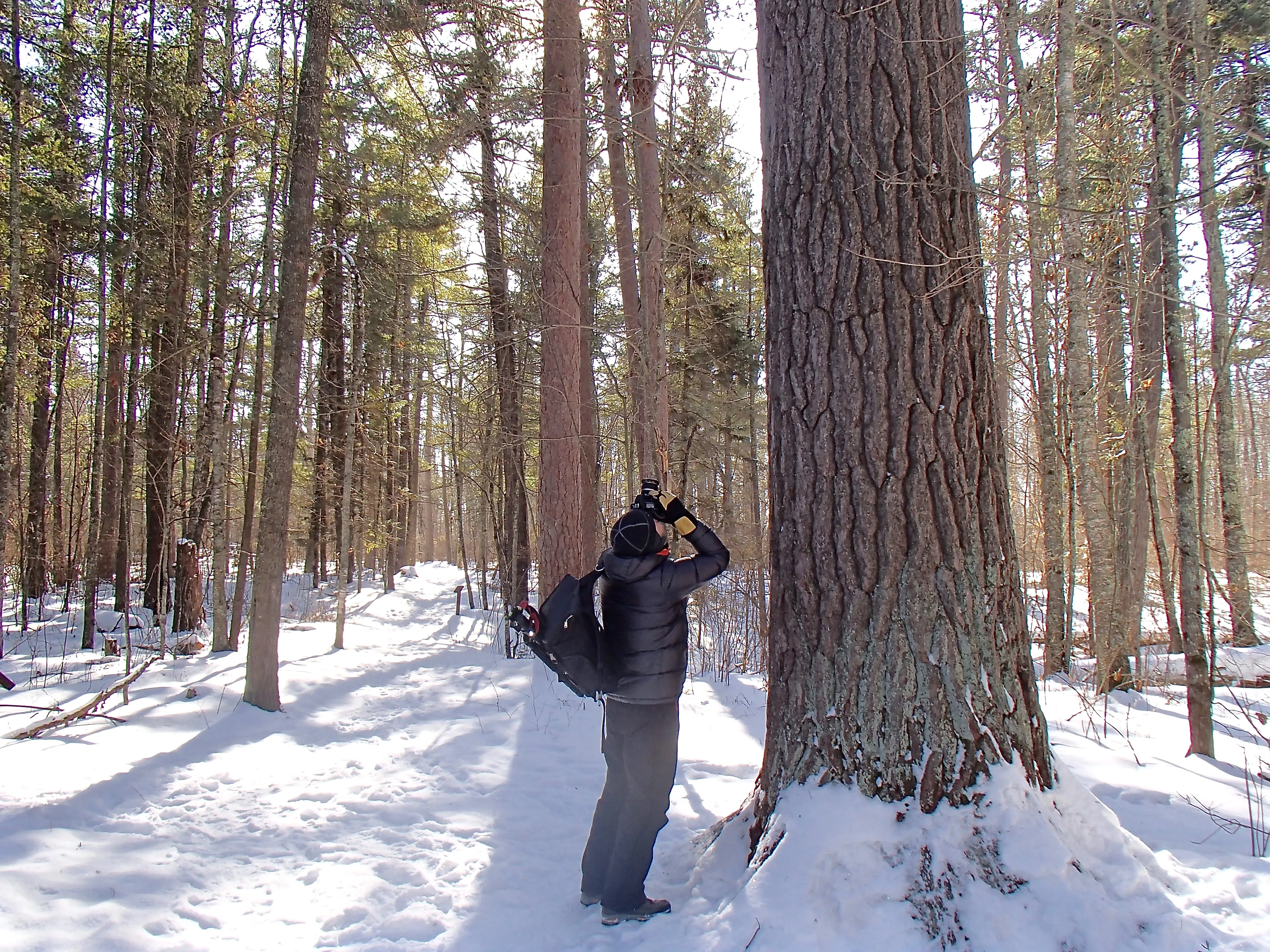 Hiking The Lost Forty