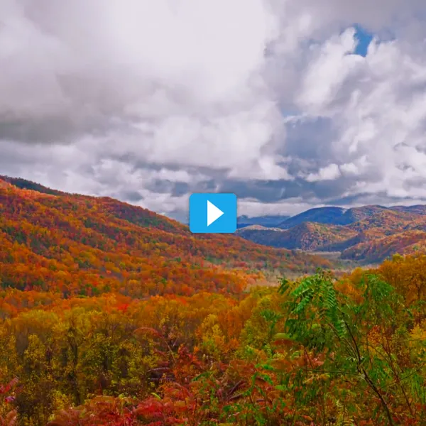 A New Perspective: The Great Smoky Mountains