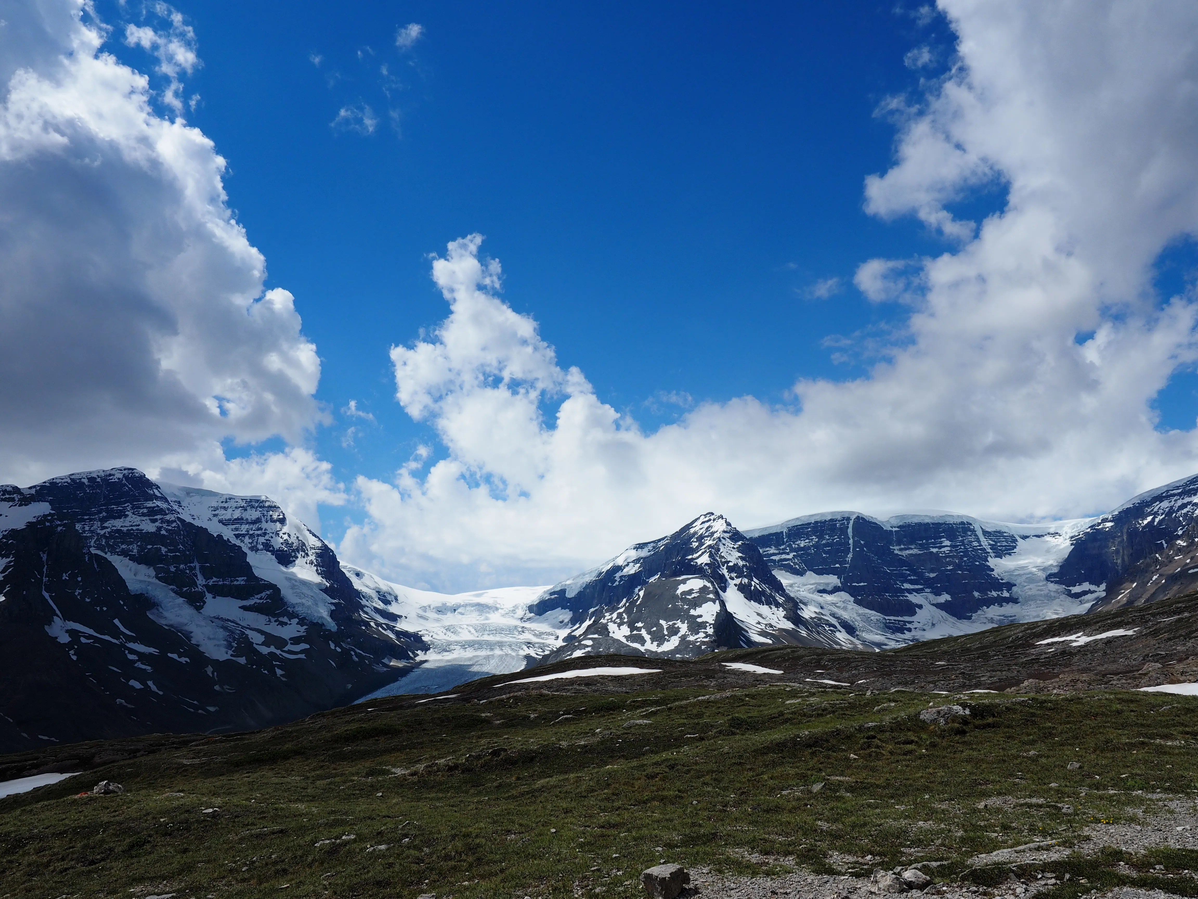 Hike to Wilcox Pass