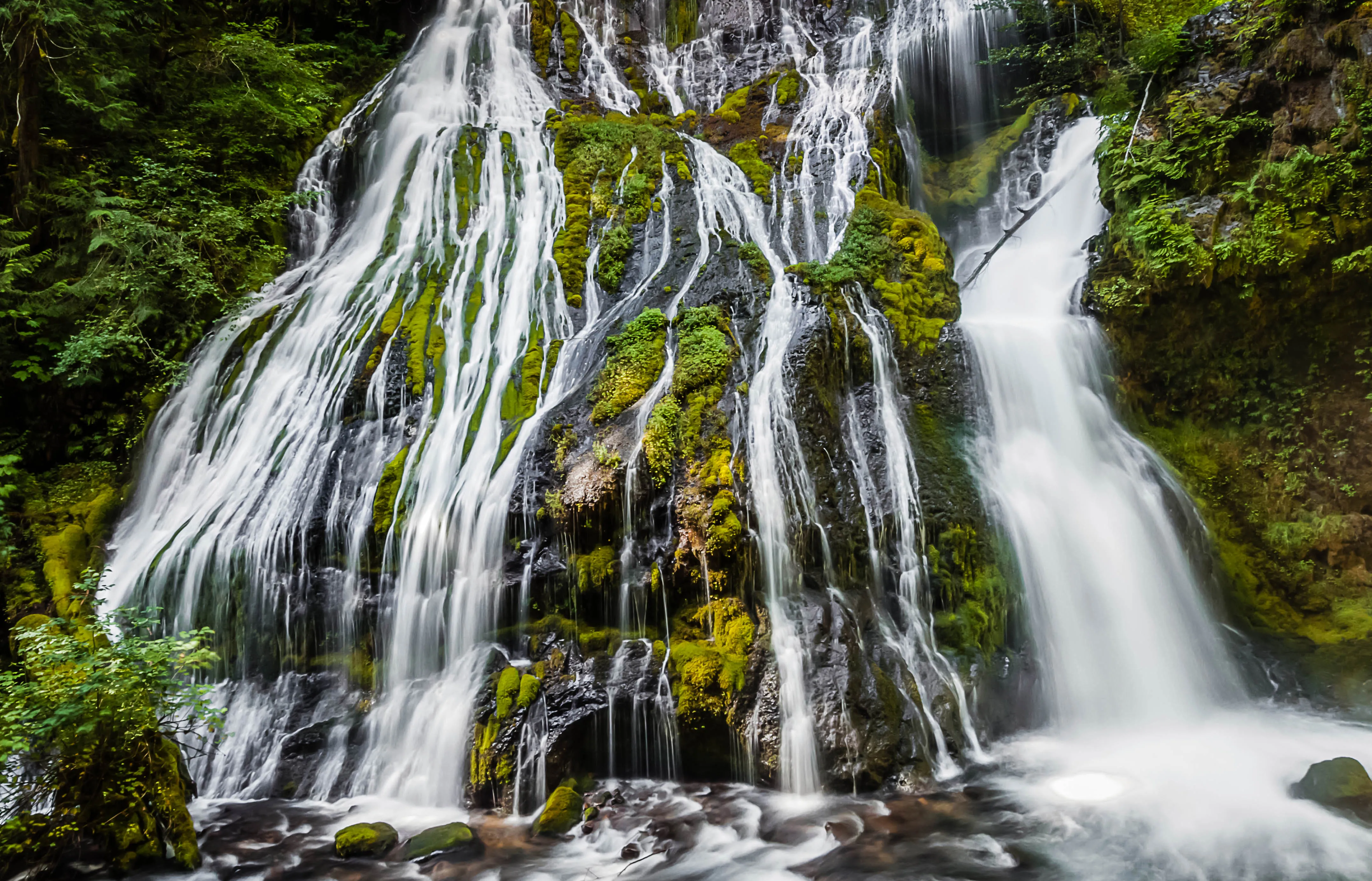 Panther Creek Falls