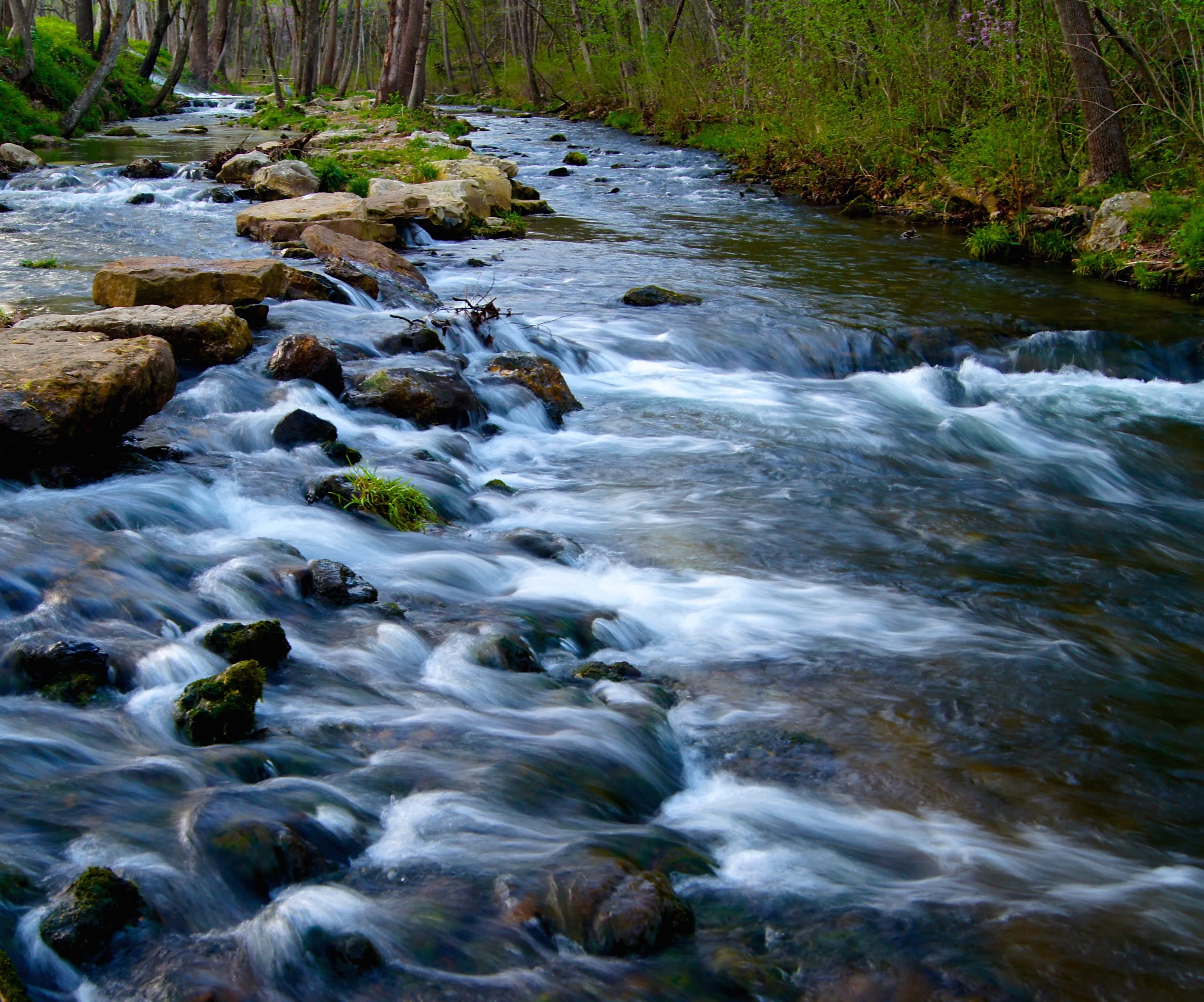 Fly Fish the White River
