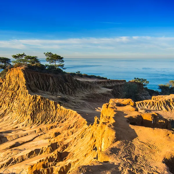 Top 6 Hikes Near San Diego
