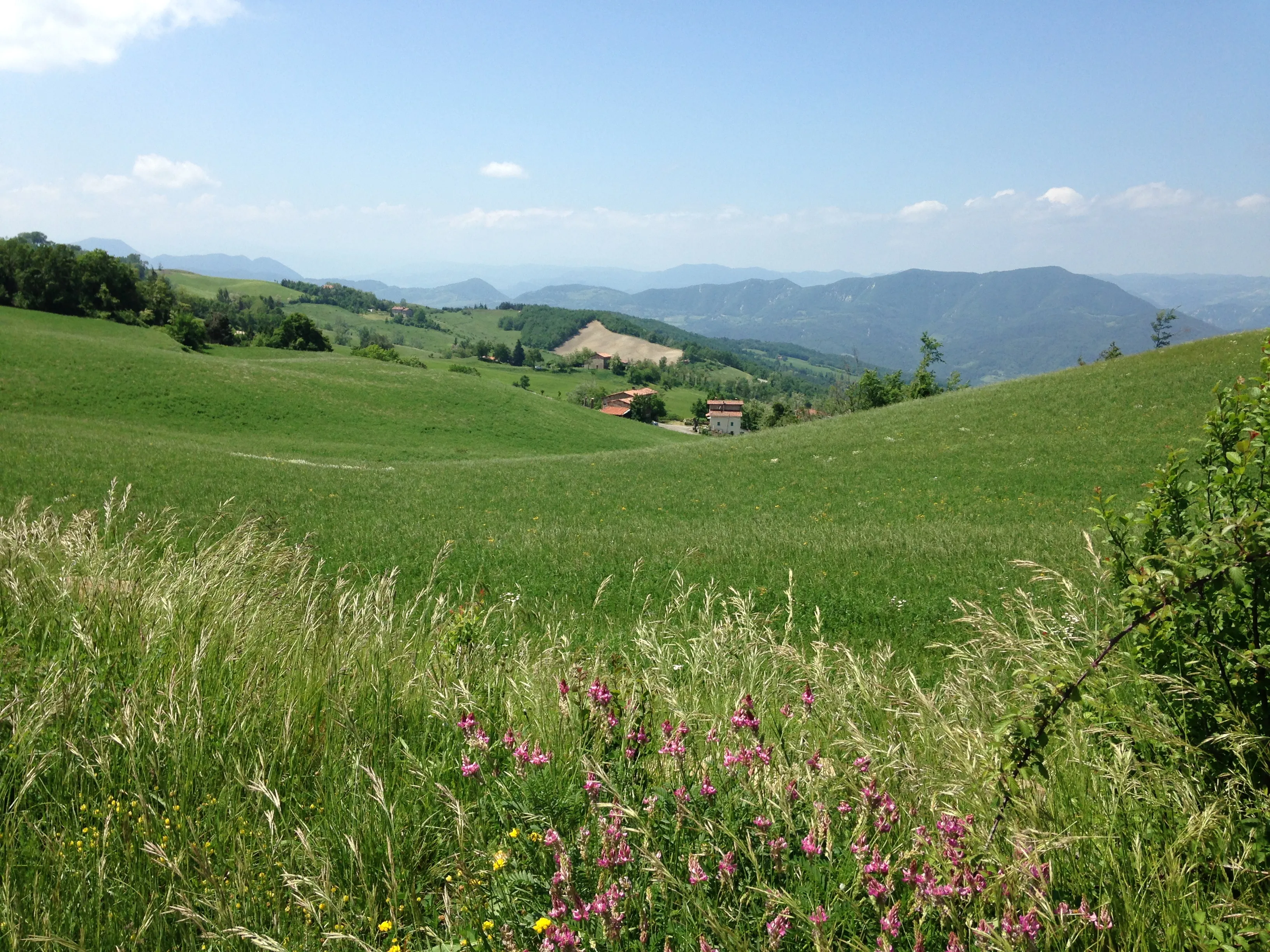 La Via Degli Dei: The Path of the Gods