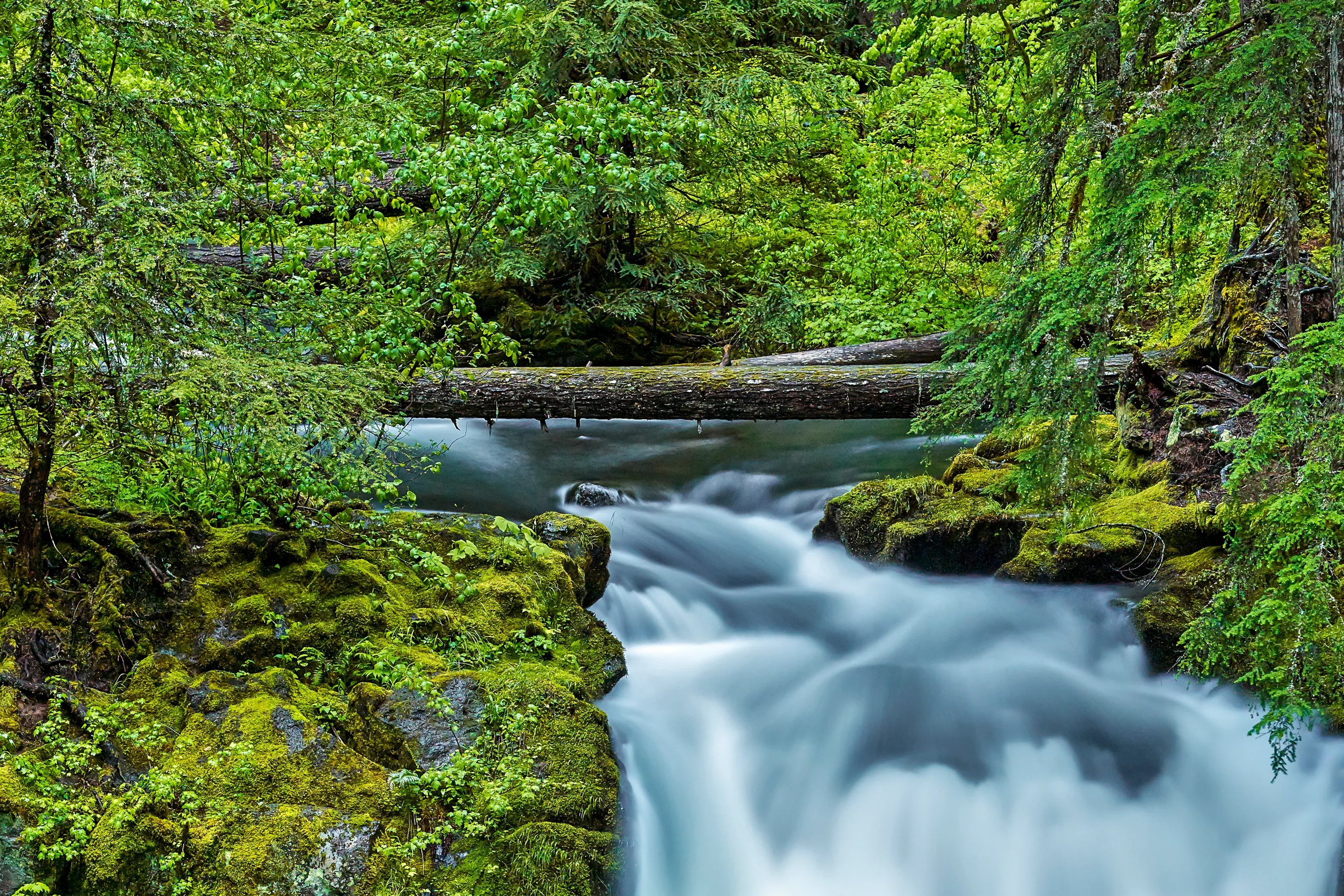 Whitehorse Falls