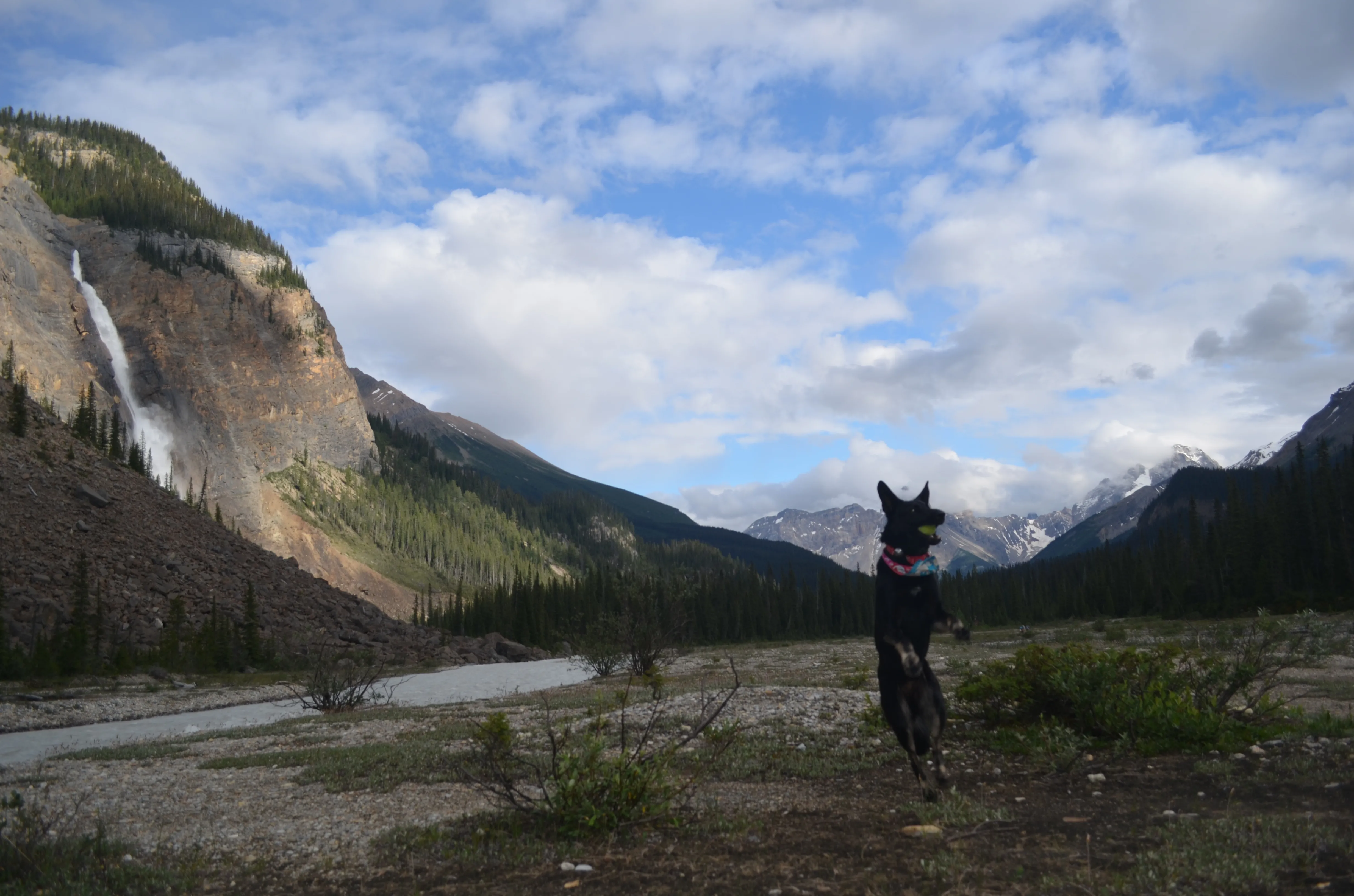Camp at Takakkaw Falls