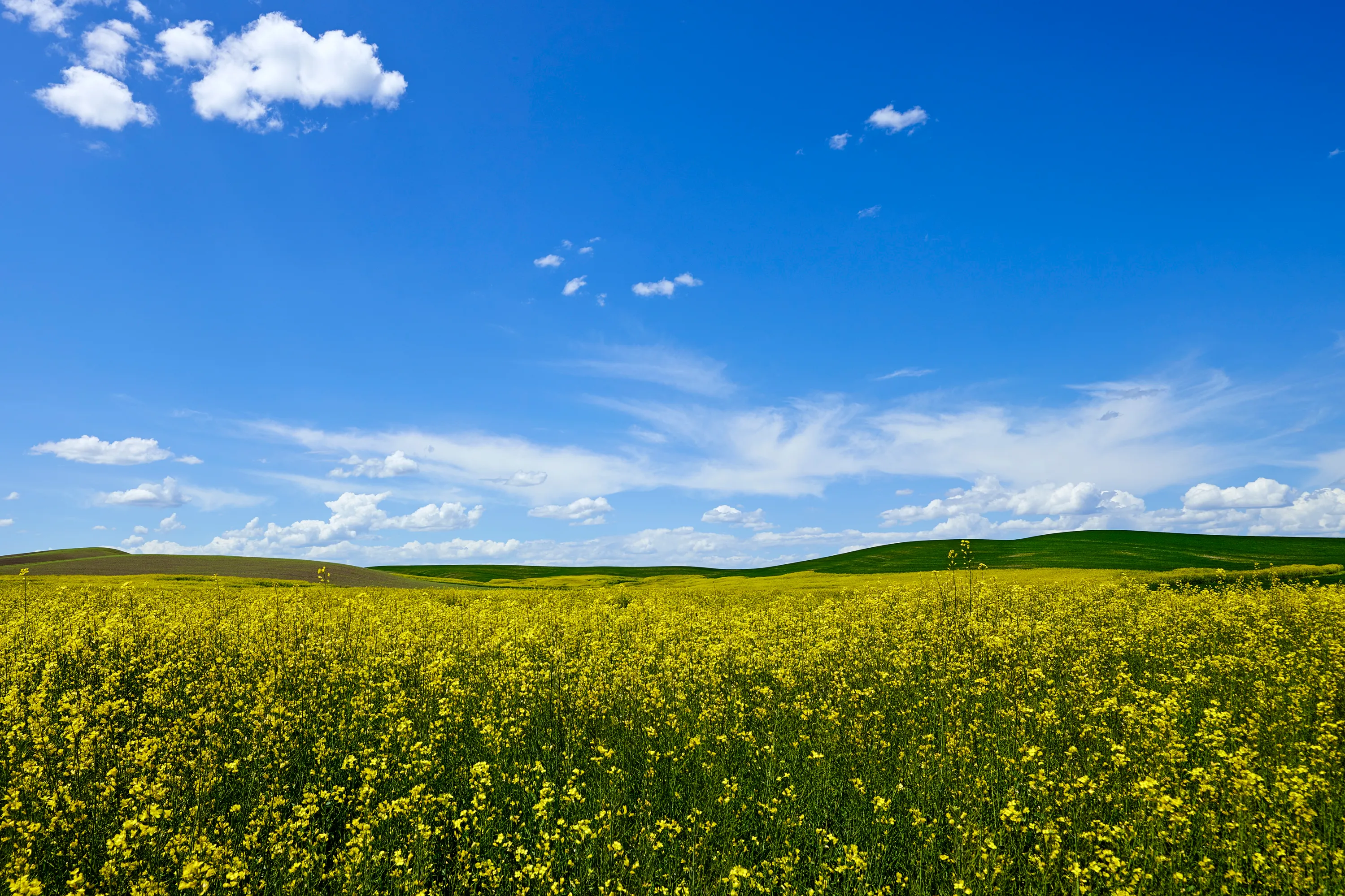 Steptoe Butte